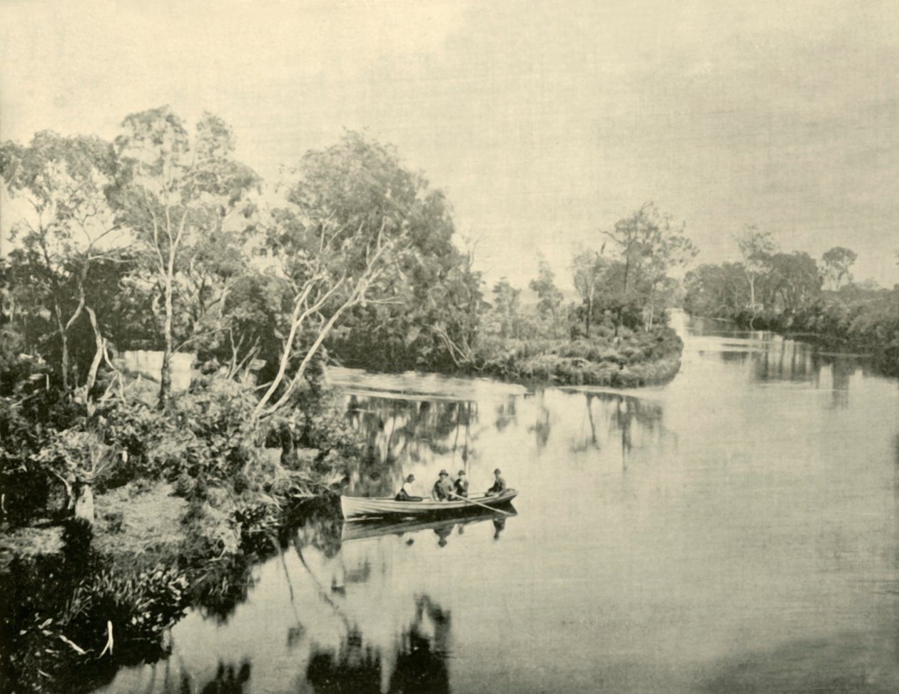Glengarry & Thompson Nehirlerinin Kavşağı, Victoria, 1901. by Unbekannt