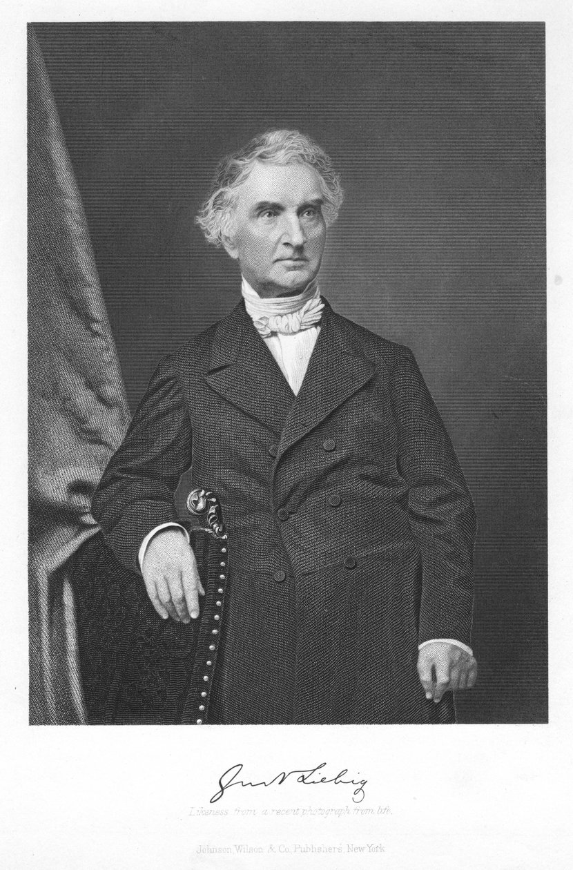Justus von Liebig, 19. yüzyıl Alman kimyager by Unbekannt
