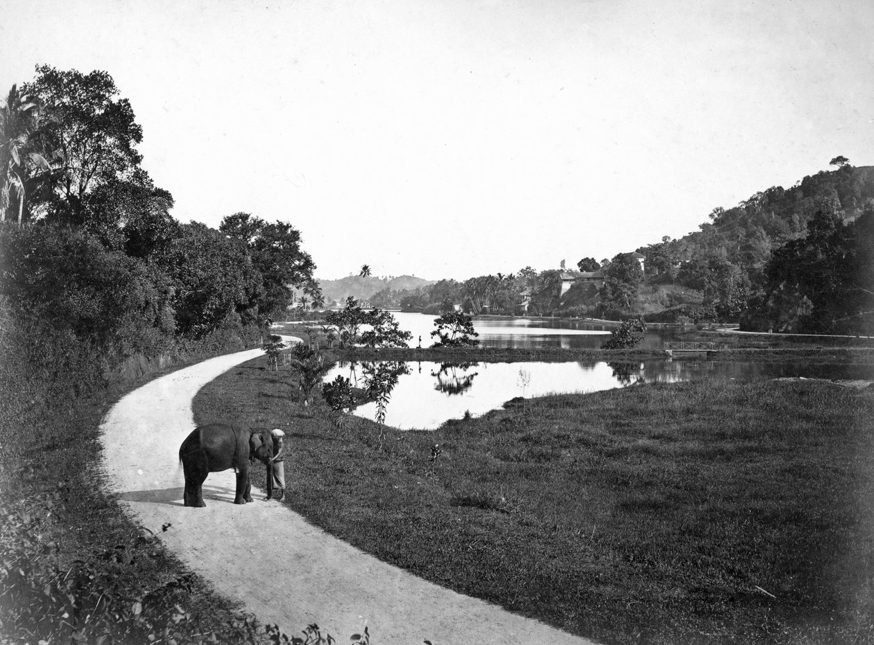 Kandy Gölü, Kandy, Sri Lanka, c1910s by Unbekannt