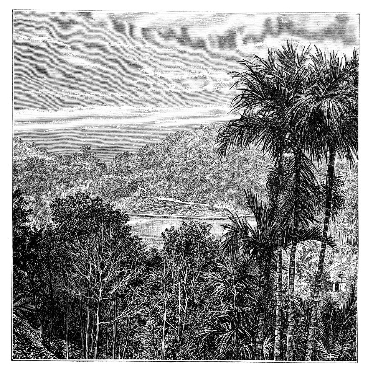 Kandi Maha Nuwara, Sri Lanka, 1895 by Unbekannt