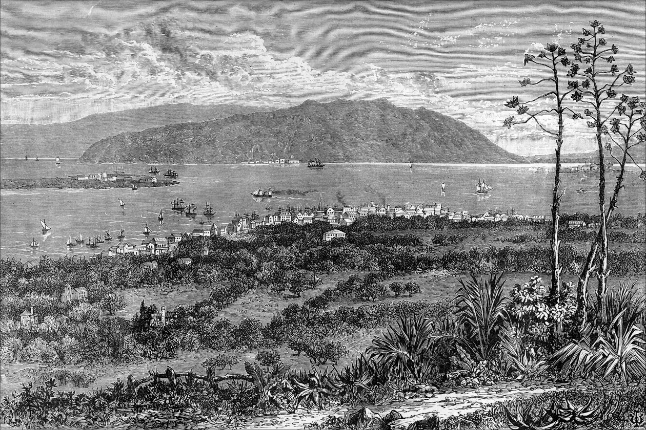 Kingston Limanı, Jamaika, c1880 by Unbekannt