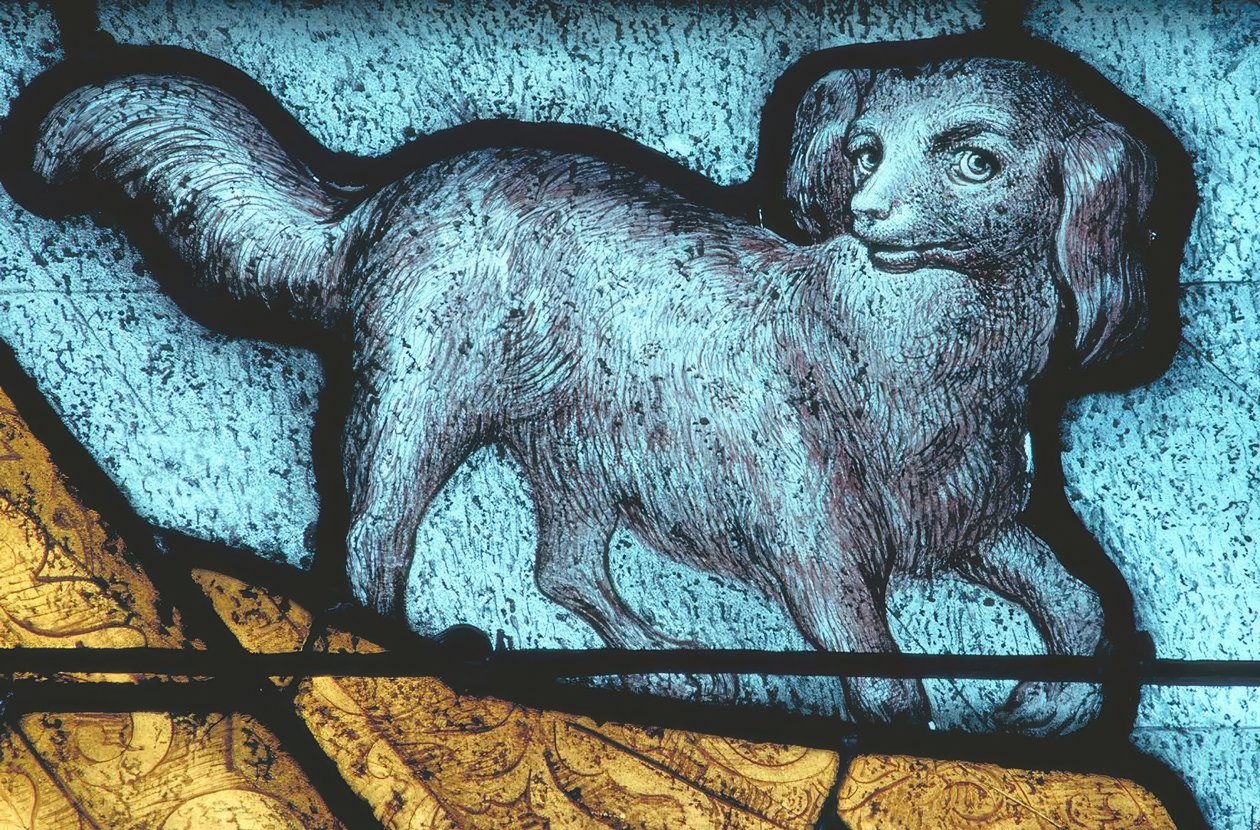 La Ferté-Bernard, köpek / vitray 15. yüzyıl by Unbekannt