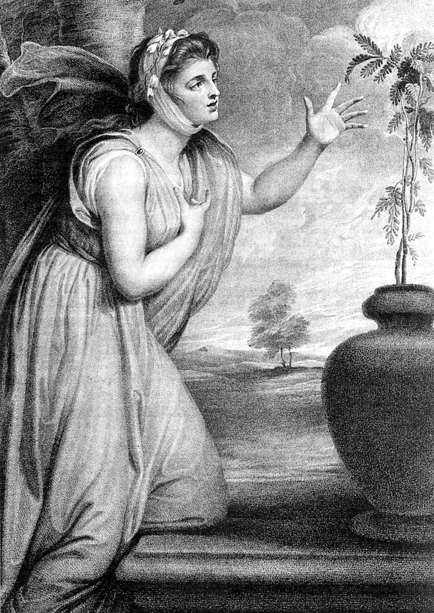 Leydi Emma Hamilton, Sir William Hamilton