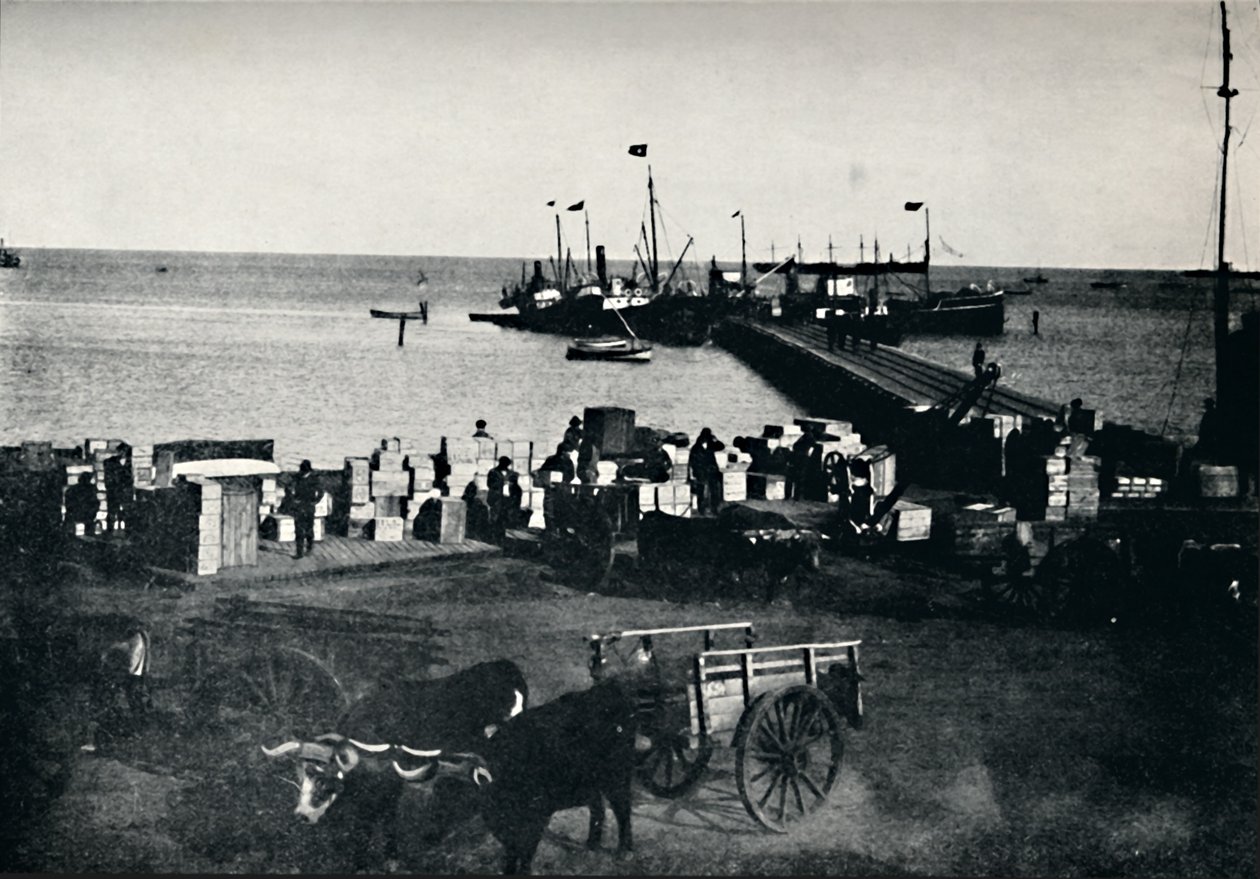 İniş Yeri, Punta Arenas, 1911 by Unbekannt