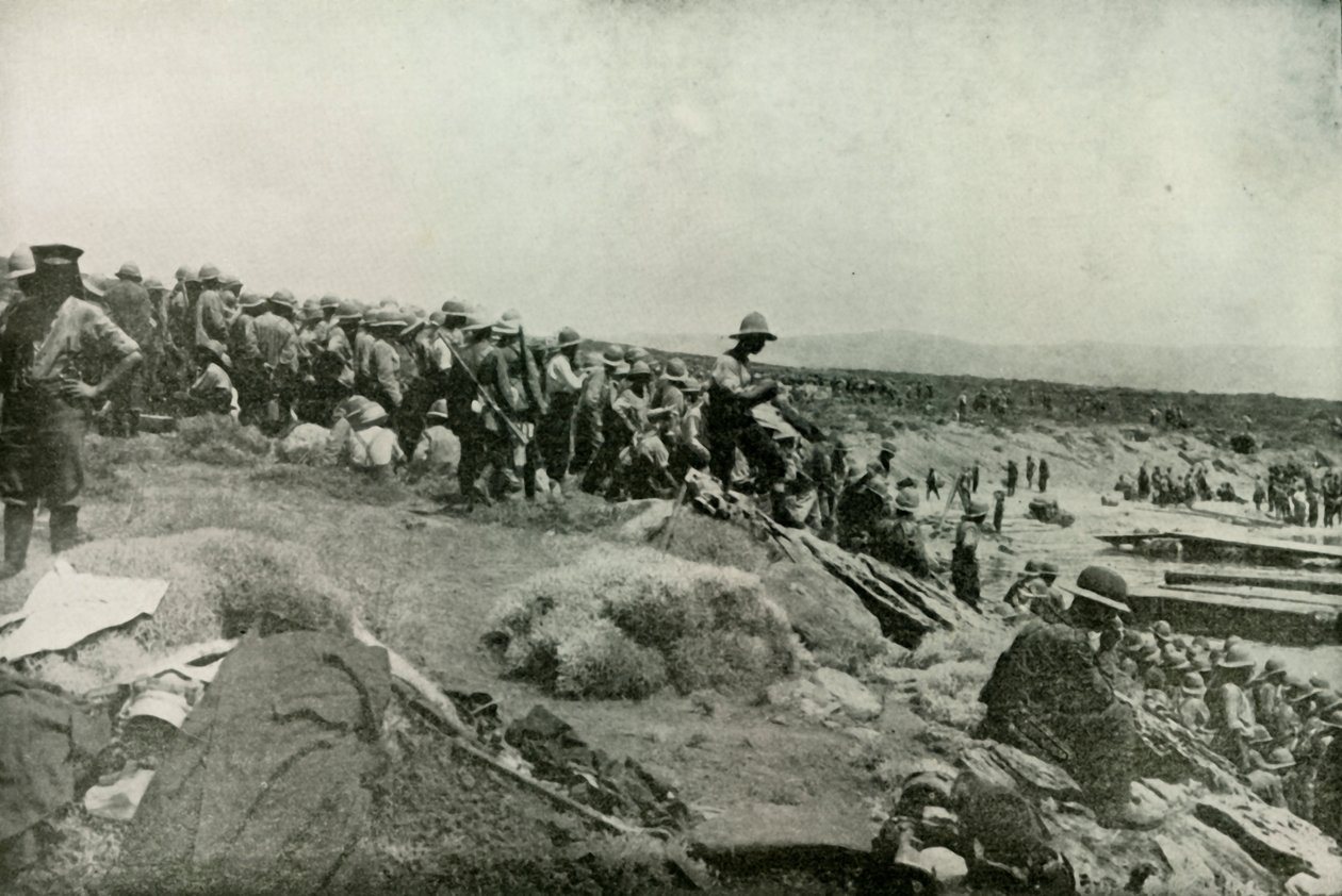 Suvla Koyu