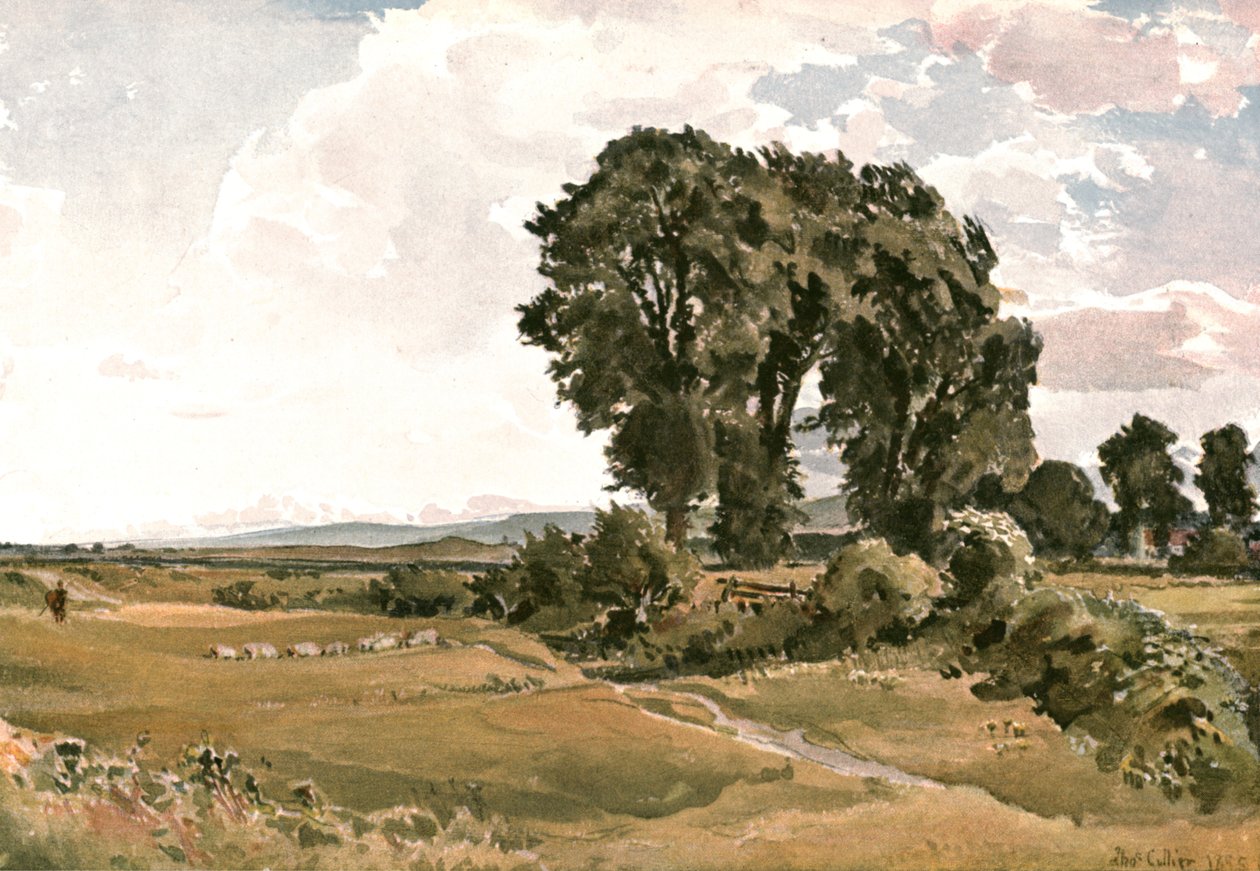 Manzara, Wareham yakınlarında, Dorset - Bir Açık Hava Eskizi, c1900. by Unbekannt