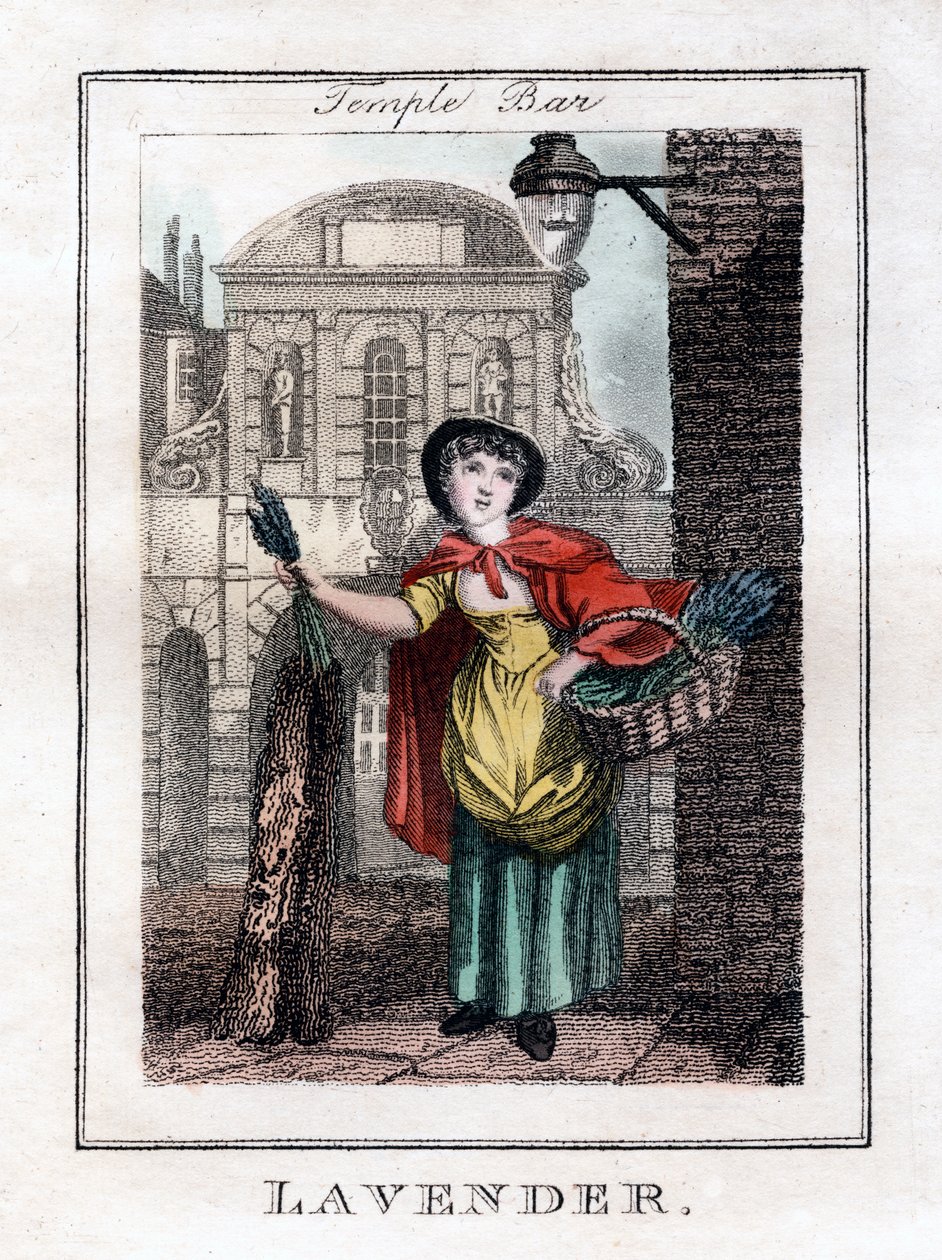 Lavanta, Temple Bar, Londra, 1805 by Unbekannt