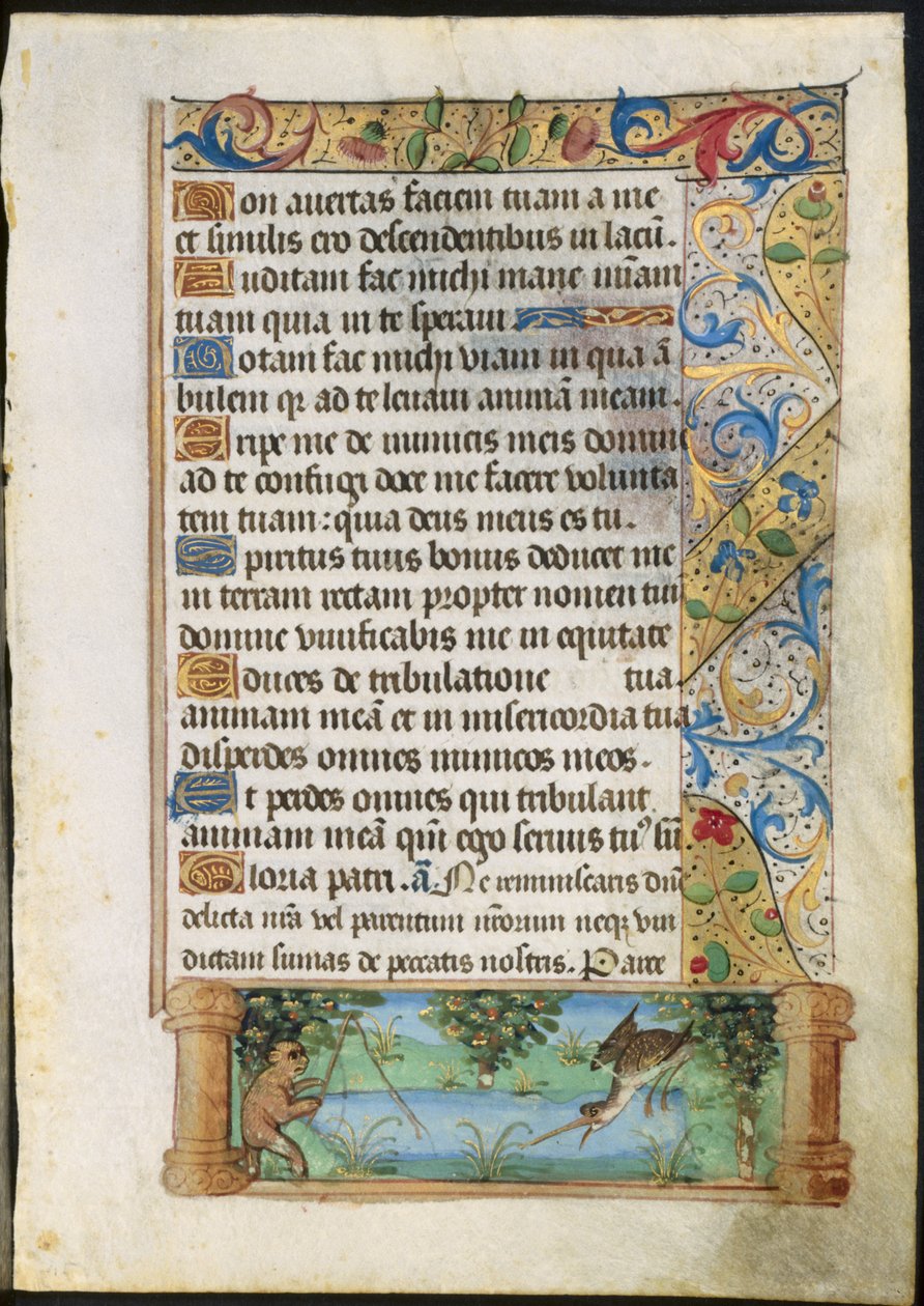Bir Saatler Kitabından Yaprak: Maymun Balıkçılığı, c. 1500-1510. by Unbekannt