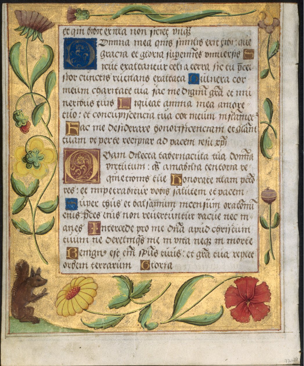 Bir Mezmur ve Dua Kitabından Yaprak: Çiçekler ve Sincap ile Süs Bordür verso, c. 1524. by Unbekannt