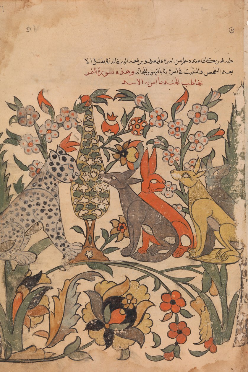 Diğer Hakimlere Aslanlı Leopar Nişanı, Folio 51 recto bir Kalila wa Dimna