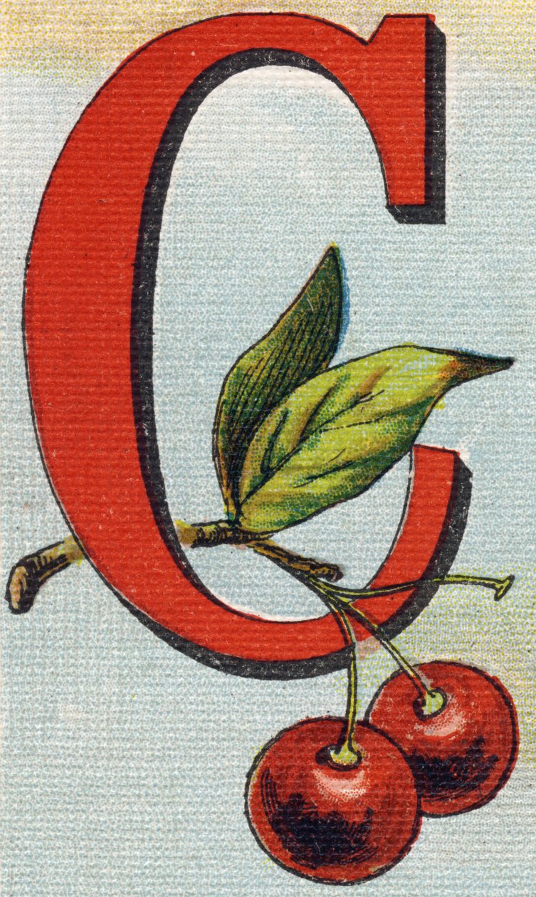 C harfi: kirazlar. "Alphabet de ma petite fille" gravürü. Bernardin-Bechet ve Fils, kitapçı-yayıncılar, Paris, 1895 civarı. Tuval üzerine kırılmaz albüm. Bibliotheque des Bebes. 12 sayfa. Bir okuma yöntemi ve açıklayıcı bir abece içeren albüm by Unbekannt