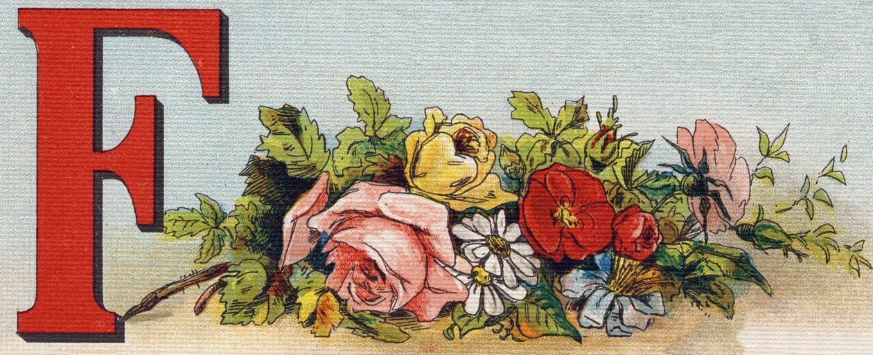 F harfi: çiçekler. "Alphabet de ma petite fille" gravürü. Bernardin-Bechet ve Fils, kitapçı-yayıncılar, Paris, 1895 civarı. Tuval üzerine kırılmaz albüm. Bibliotheque des Bebes. 12 sayfa. Bir okuma yöntemi ve açıklayıcı bir abeced içeren albüm by Unbekannt
