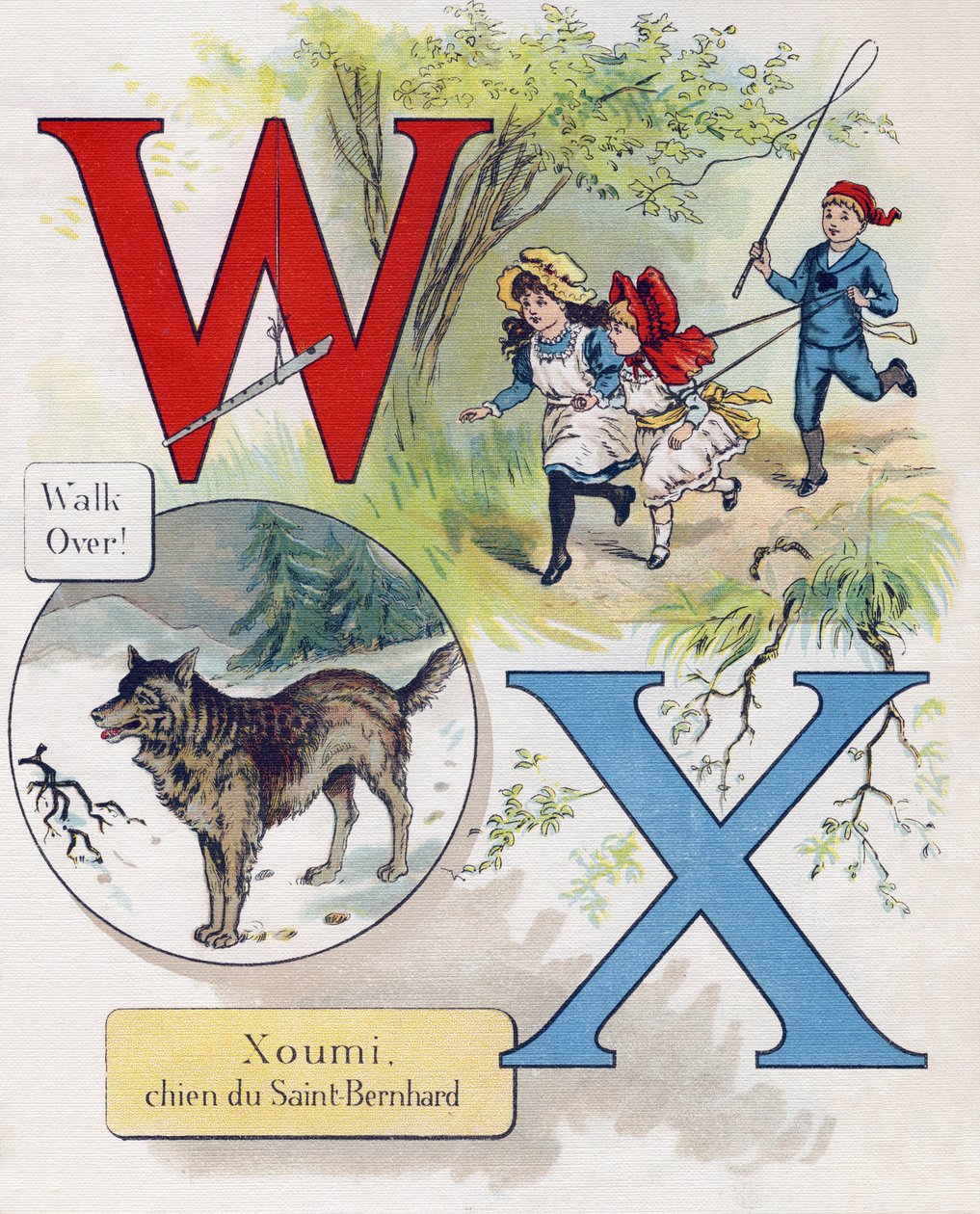 W ve X Harfi: Yürü ve Xoumi, Saint Bernard