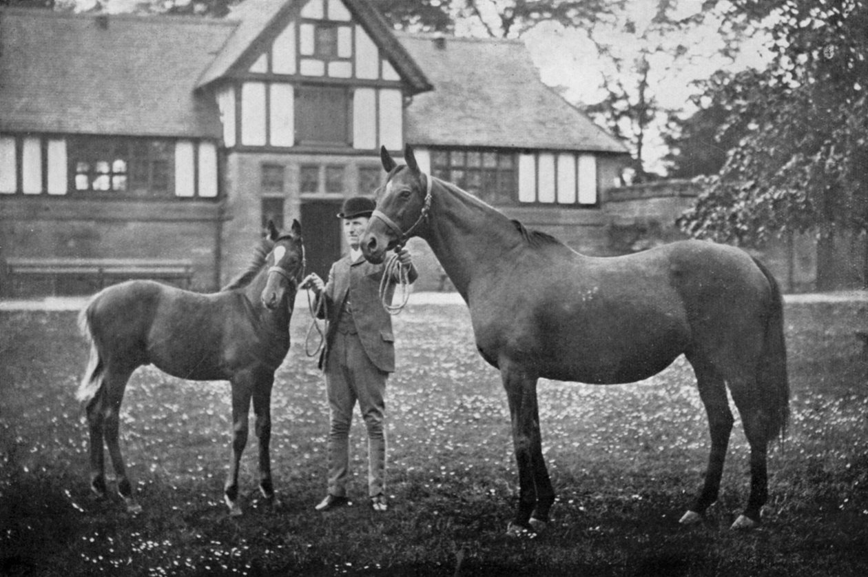 Lily Agnes, Orelio by Bend Or, £ 4955 kazanan, 1894 1938 by Unbekannt