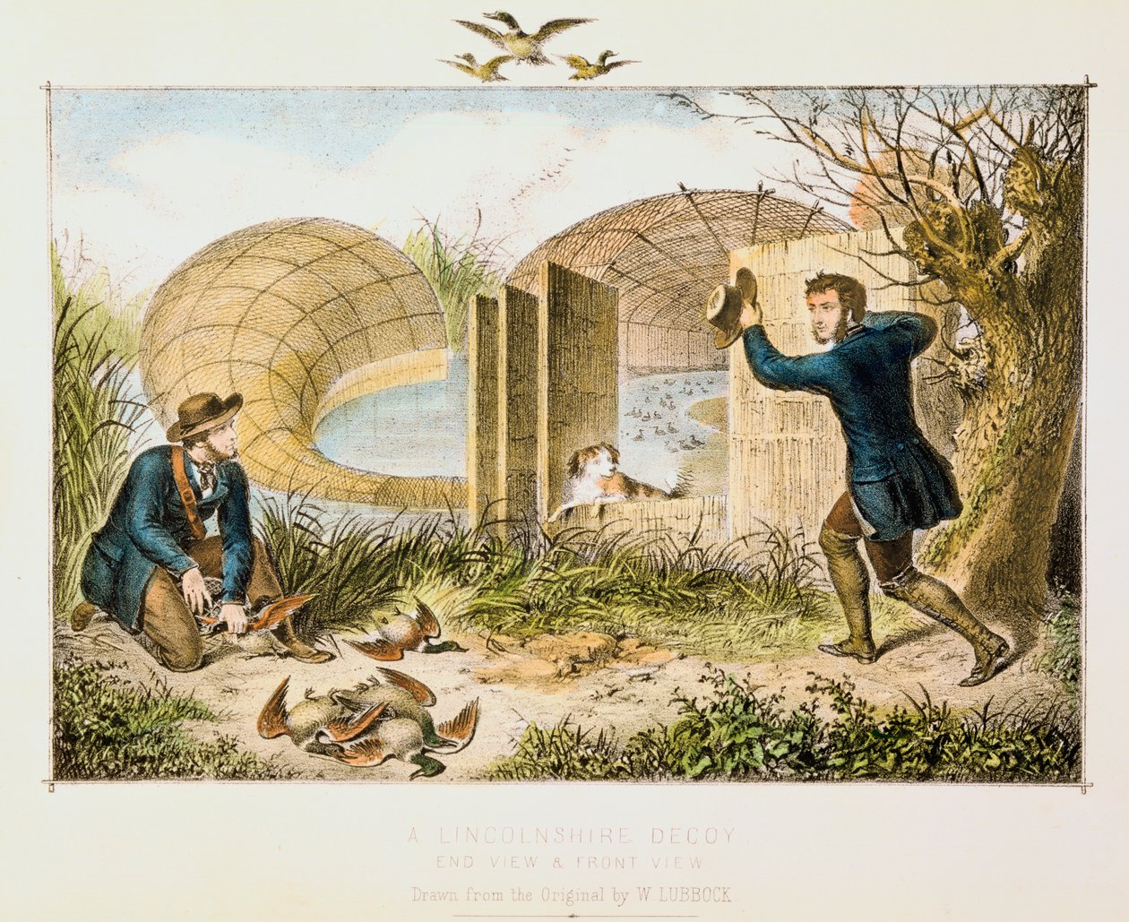 Lincolnshire Ördek Tuzağı, c1845 by Unbekannt