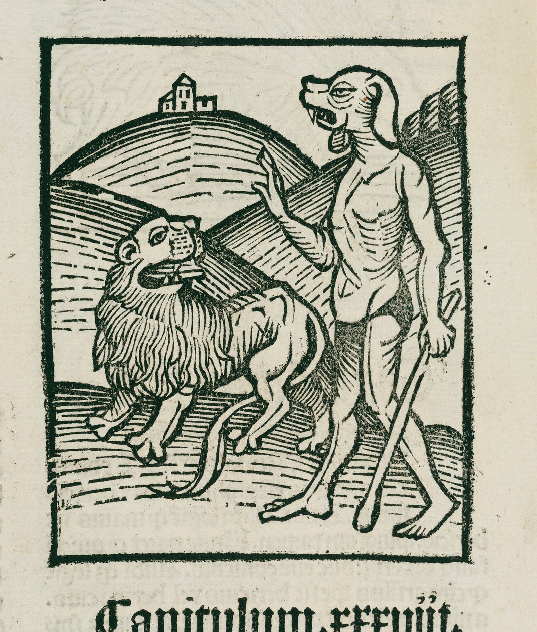 Aslan ve efsanevi 'cephos' by Unbekannt