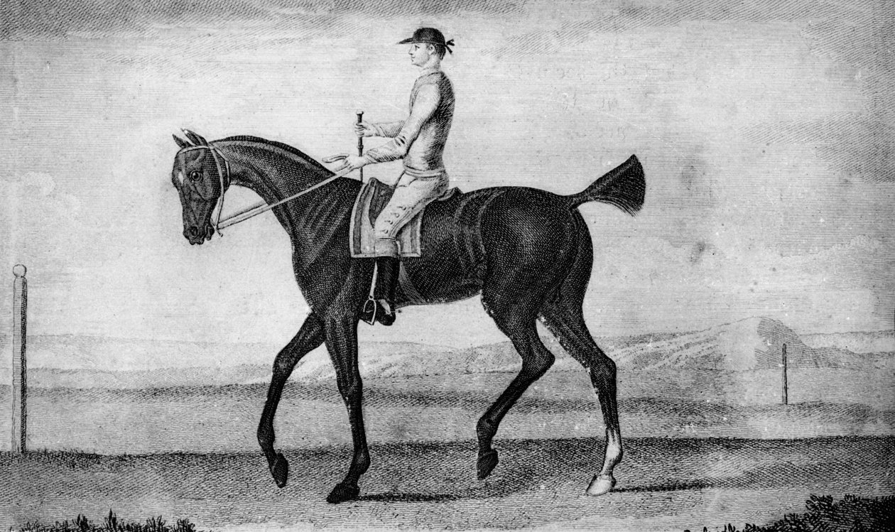 Küçük Sürücü, c1850-1900, 1911 by Unbekannt