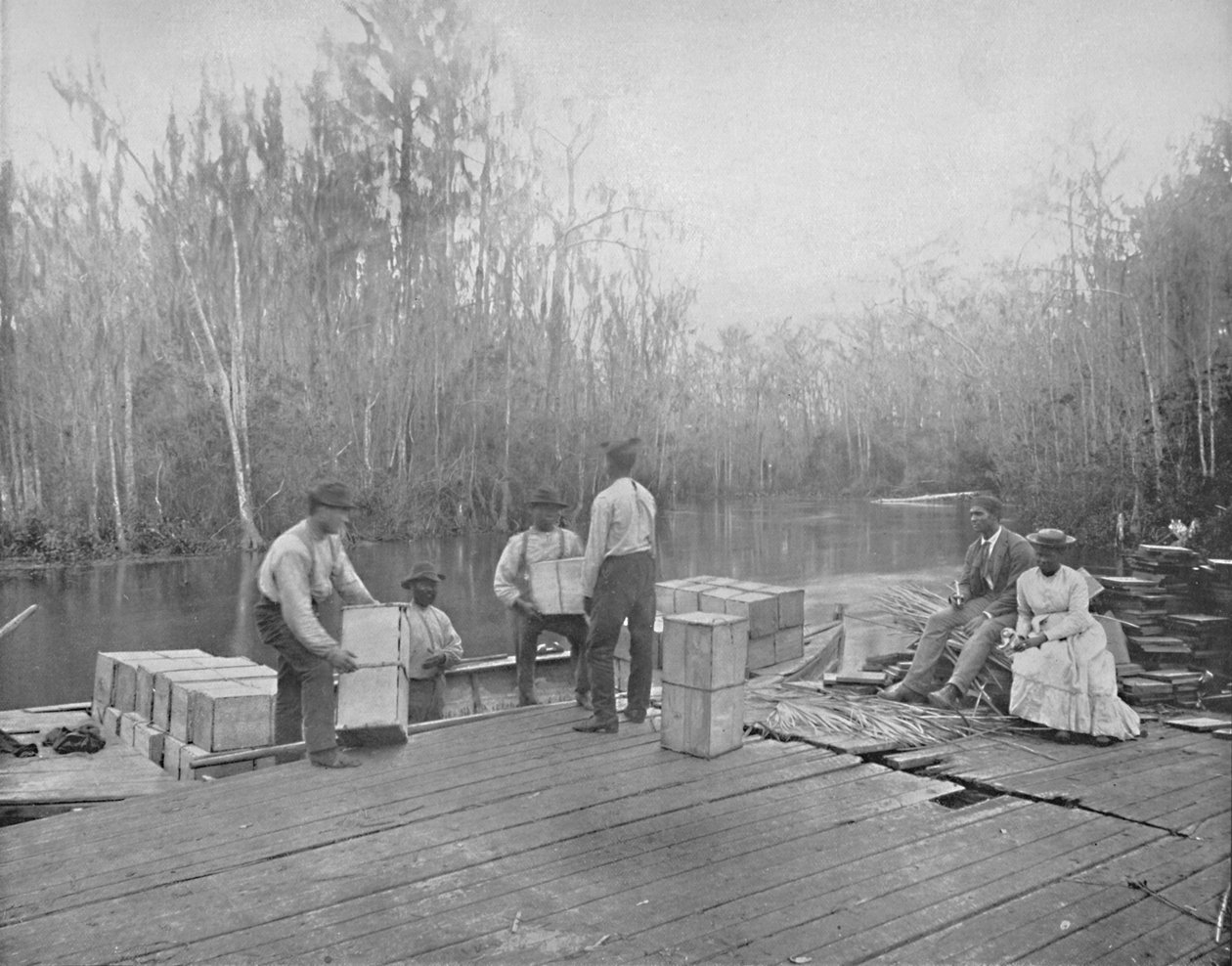 Ocklawaha Nehri