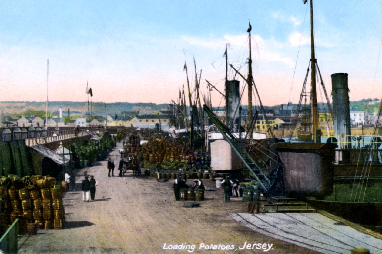 Patates Yükleme, Jersey, 1908 by Unbekannt