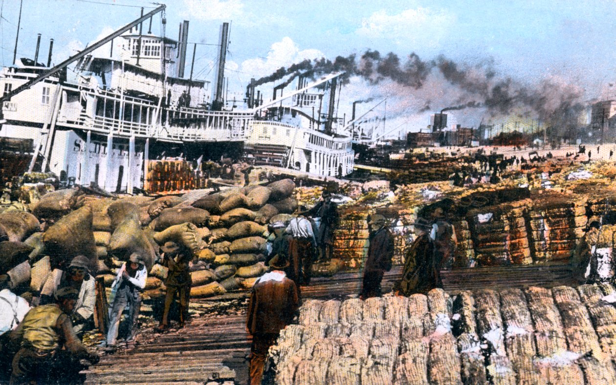 Bir gemiye pamuk yükleme, Memphis, Tennessee, ABD, c1900s by Unbekannt