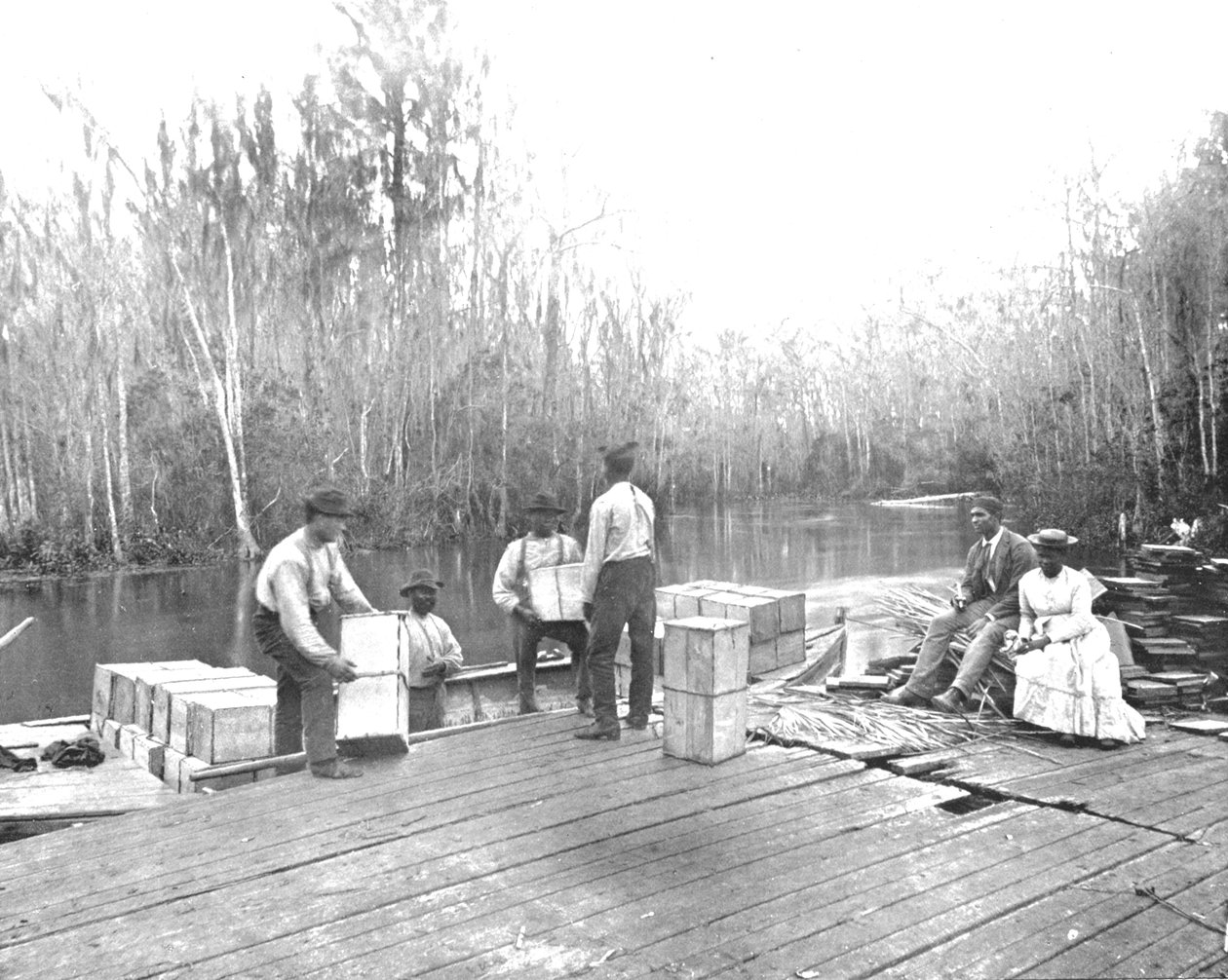 Ocklawaha Nehri