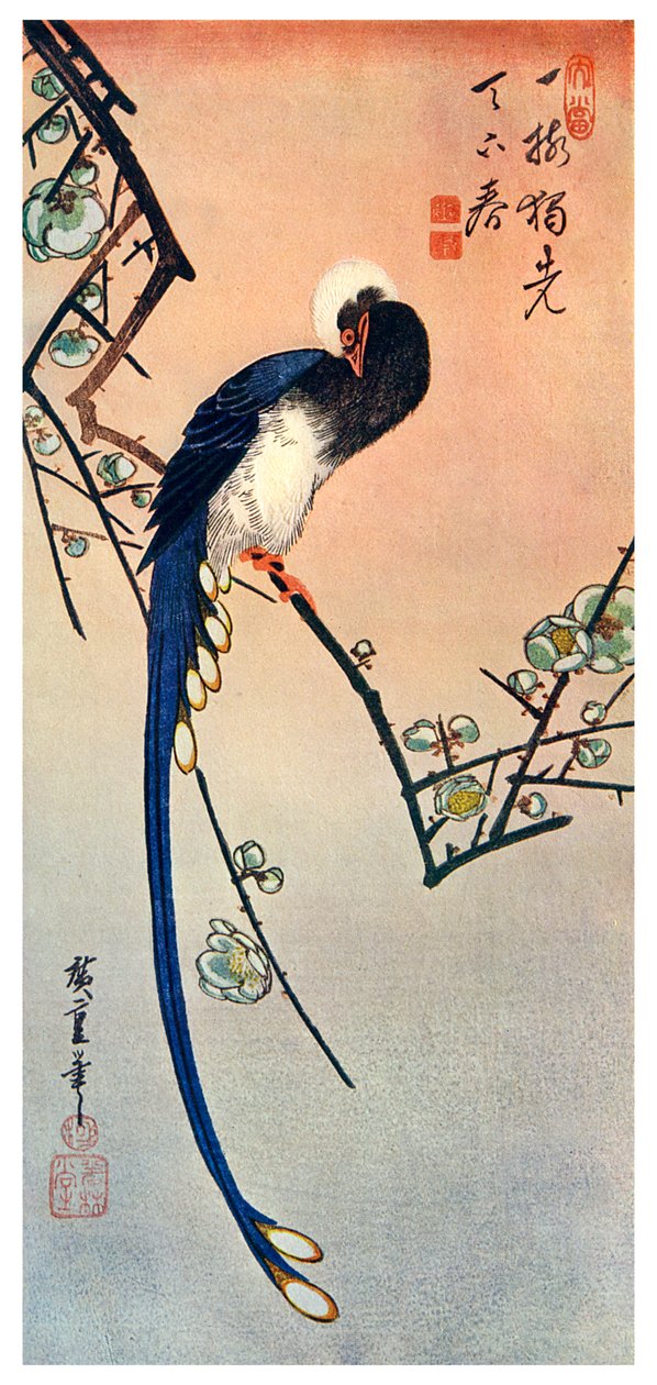 Blossom