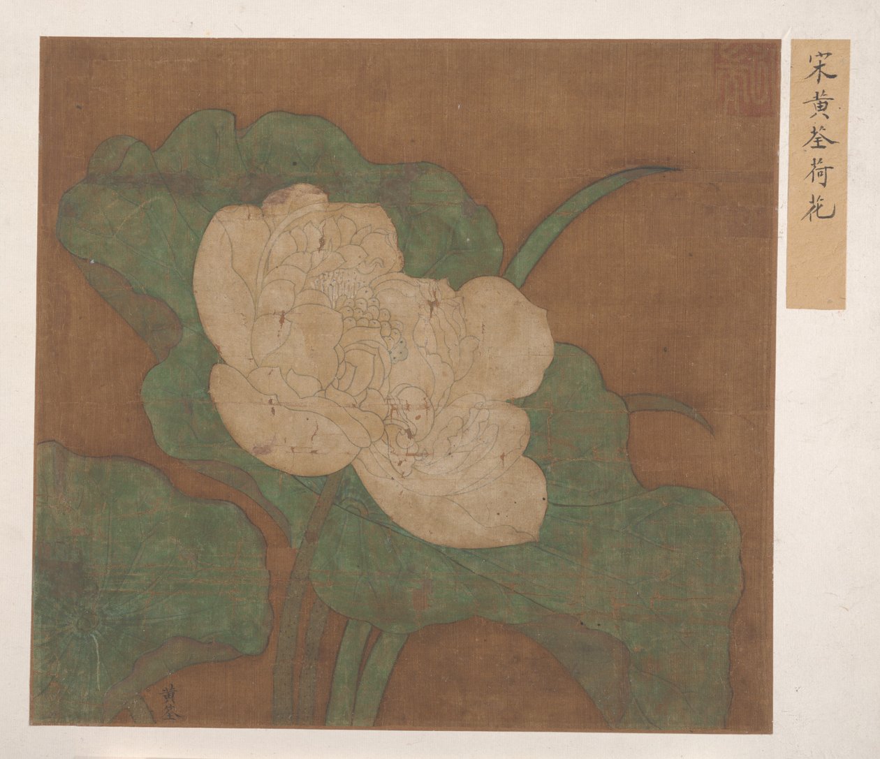 Lotus. by Unbekannt