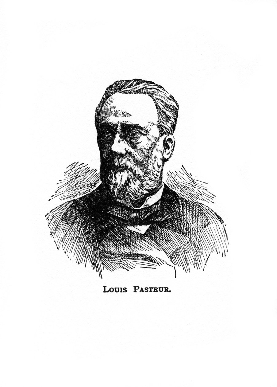 Louis Pasteur, 19. yüzyıl Fransız mikrobiyolog ve kimyager, 20. yüzyıl by Unbekannt