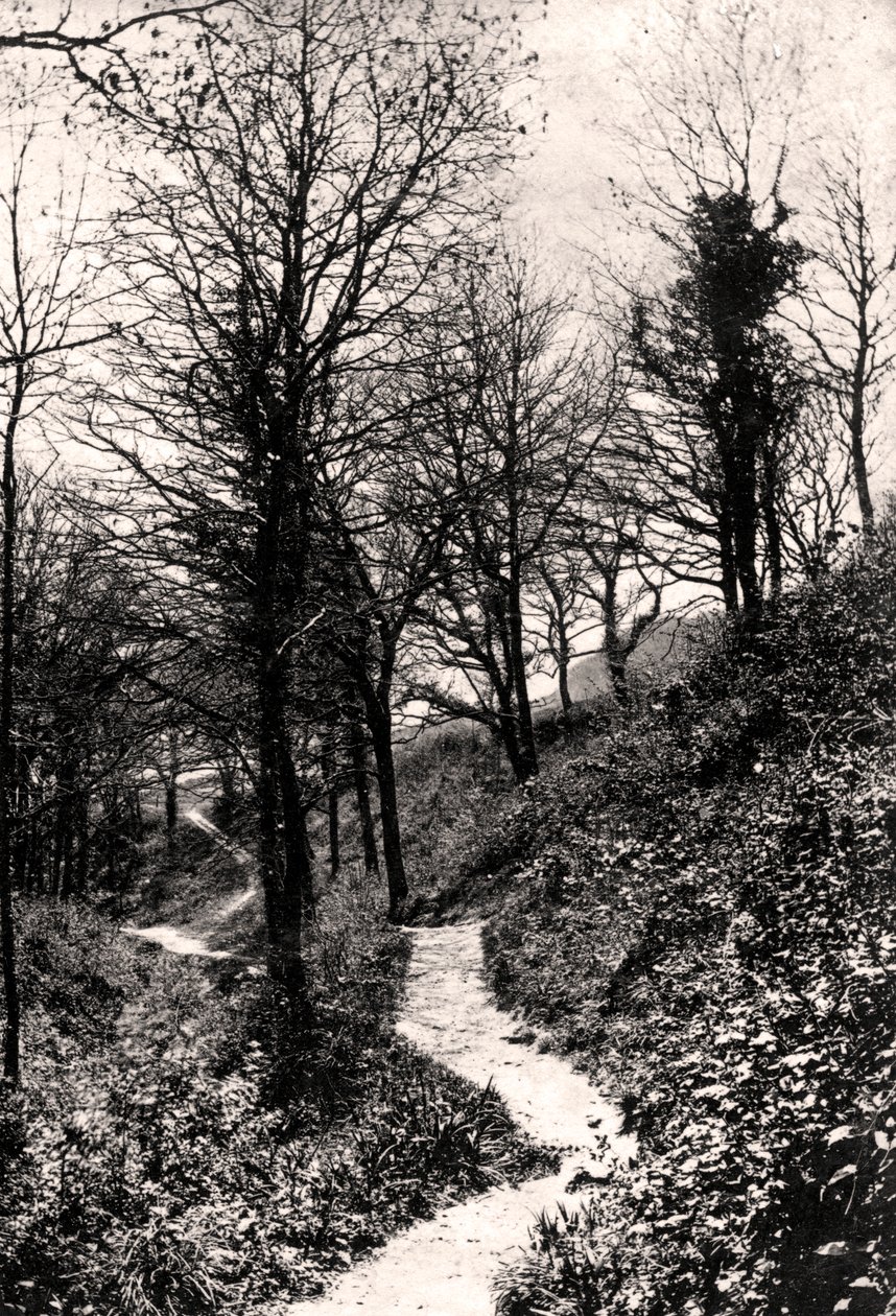 Aşıklar Yolu, Fairlight, Hastings, Sussex by Unbekannt