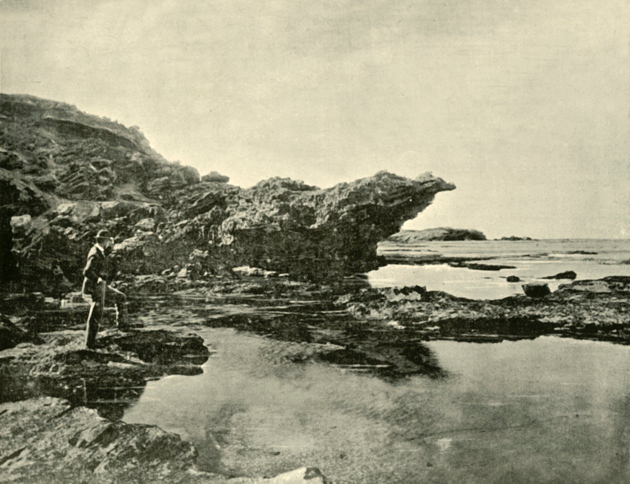 Alçak Gelgit, Shelly Sahili, Warrnambool, 1901. by Unbekannt