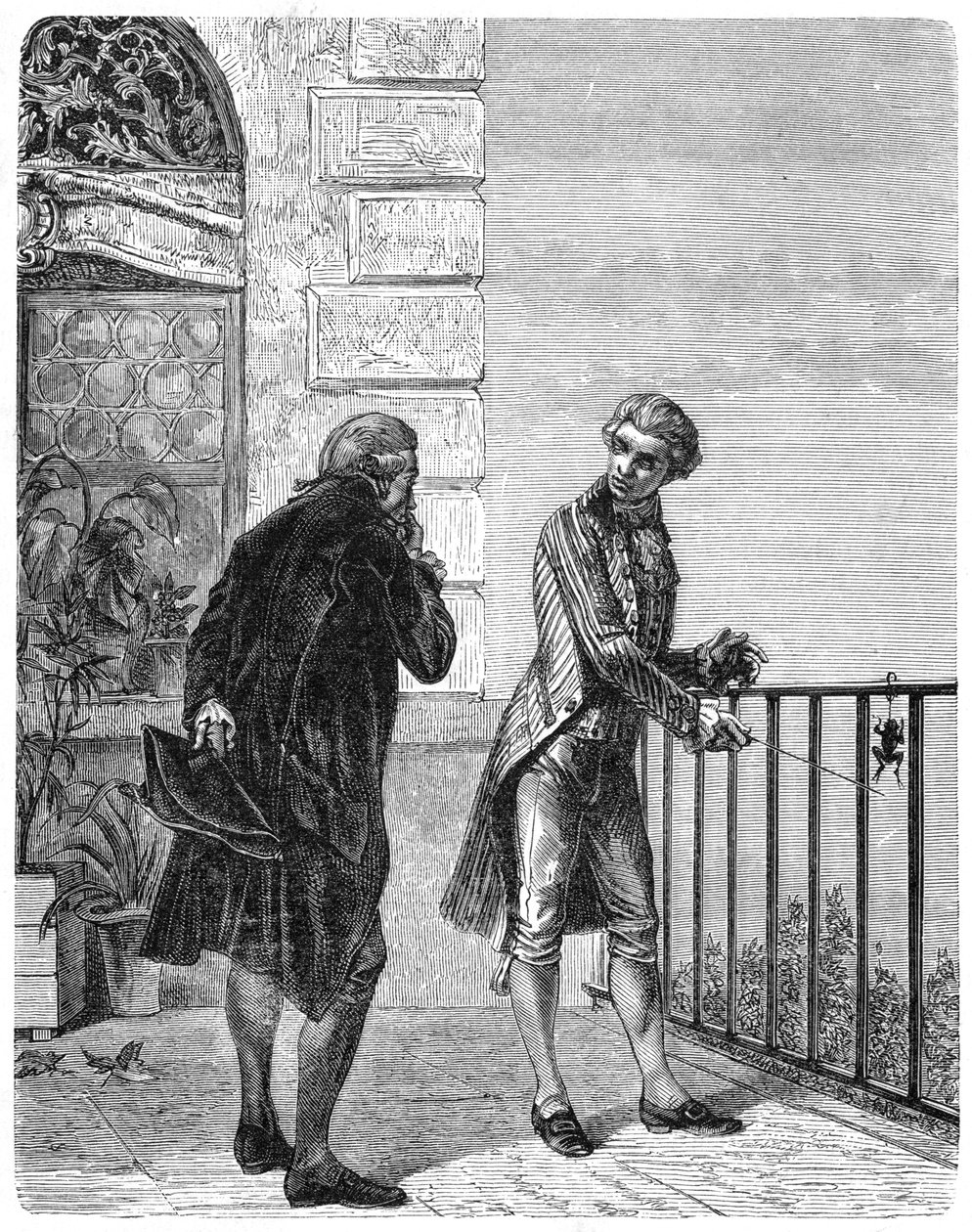 Luigi Galvani, 18. yüzyıl İtalyan fizyologu, 1880 by Unbekannt
