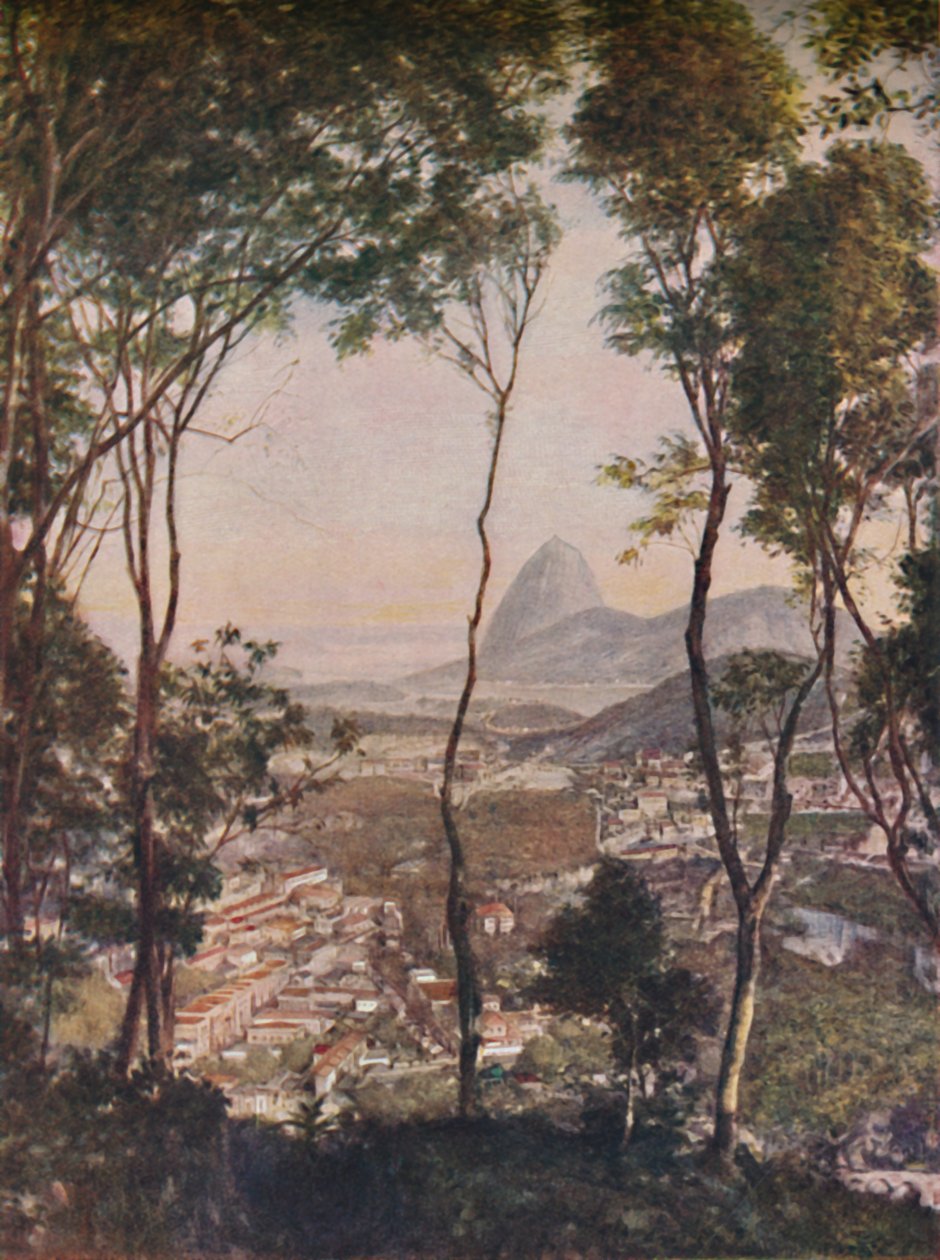 Lapa