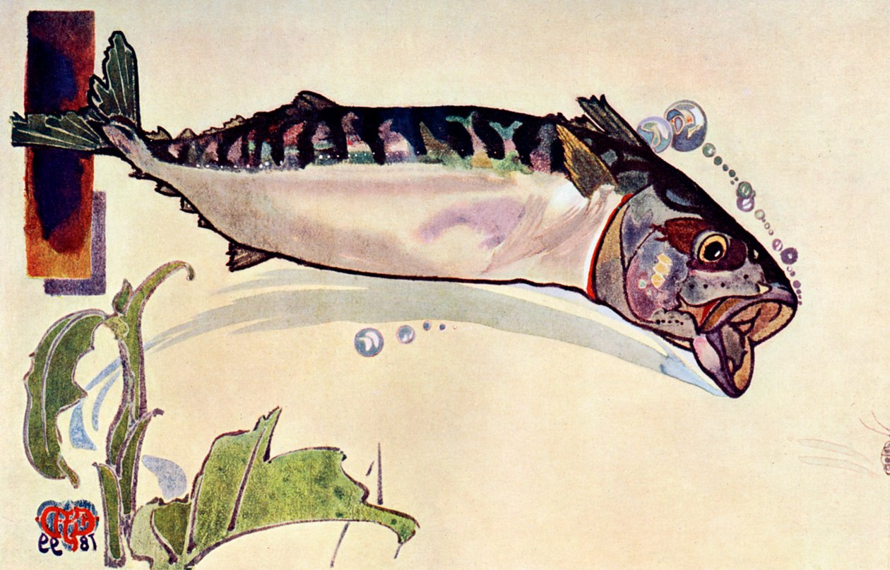 uskumru, 1900 by Unbekannt