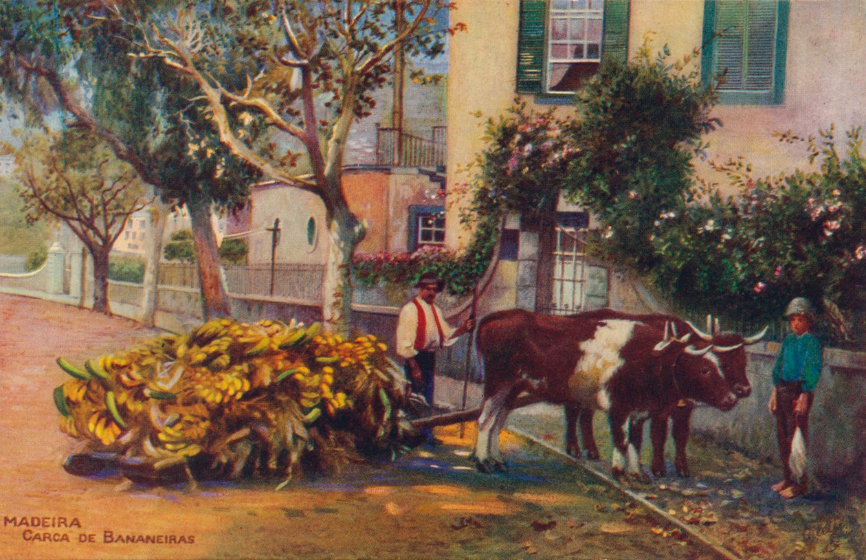 Ahşap - Muz Karkası, c1940 by Unbekannt