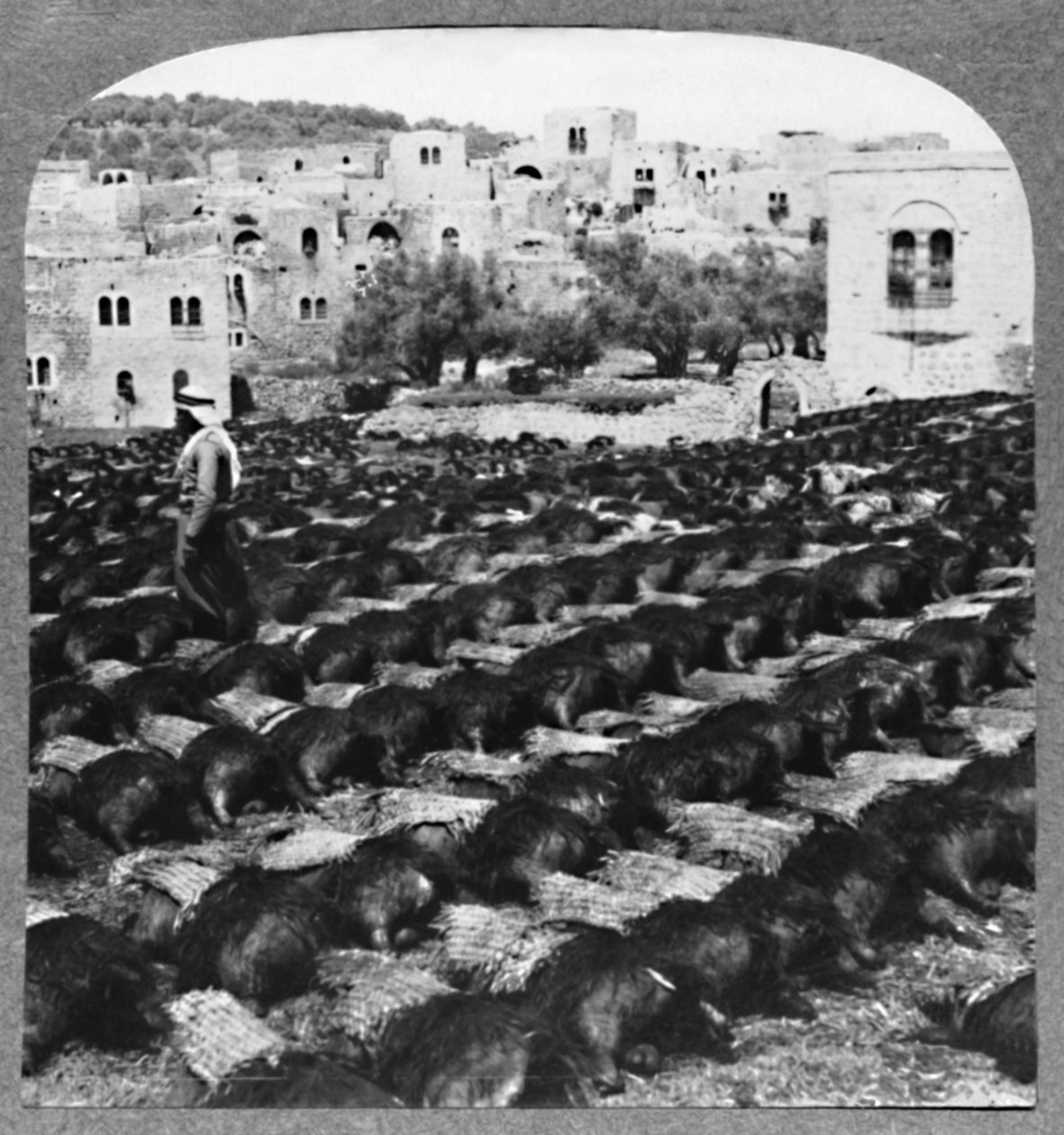 Şarap şişeleri yapmak, Hebron, c1900 by Unbekannt