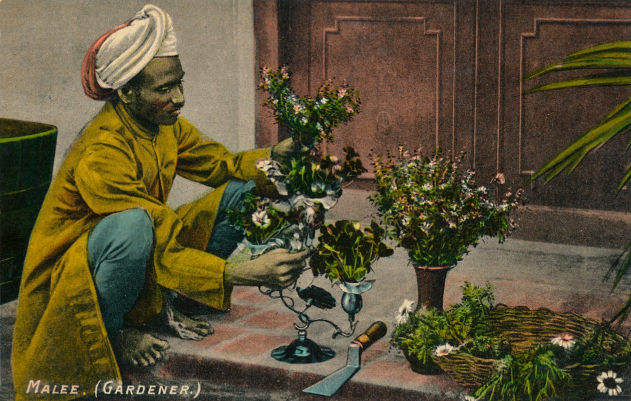 Malee Bahçıvan, c1900 by Unbekannt
