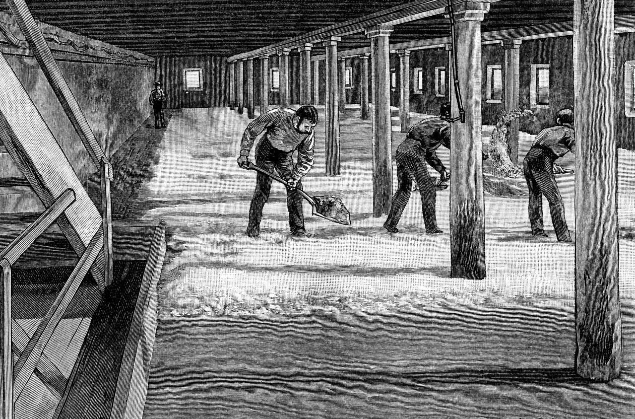 Bir Amerikan bira fabrikasında malt zemini, 1885 by Unbekannt