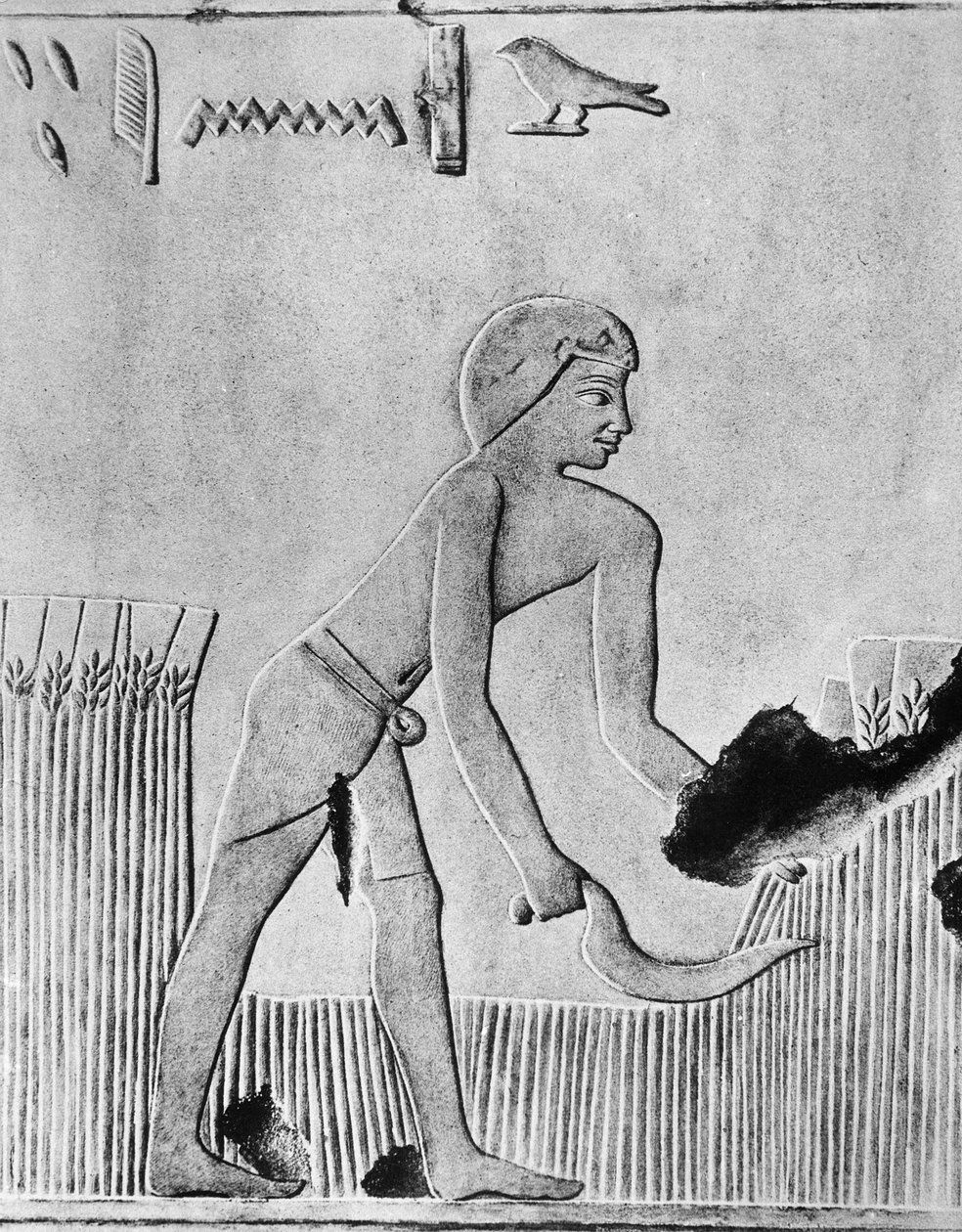 Orakla arpa biçen adam, muhtemelen çakmaktaşından yapılmış tahtadan, Eski Mısır, MÖ c240 by Unbekannt