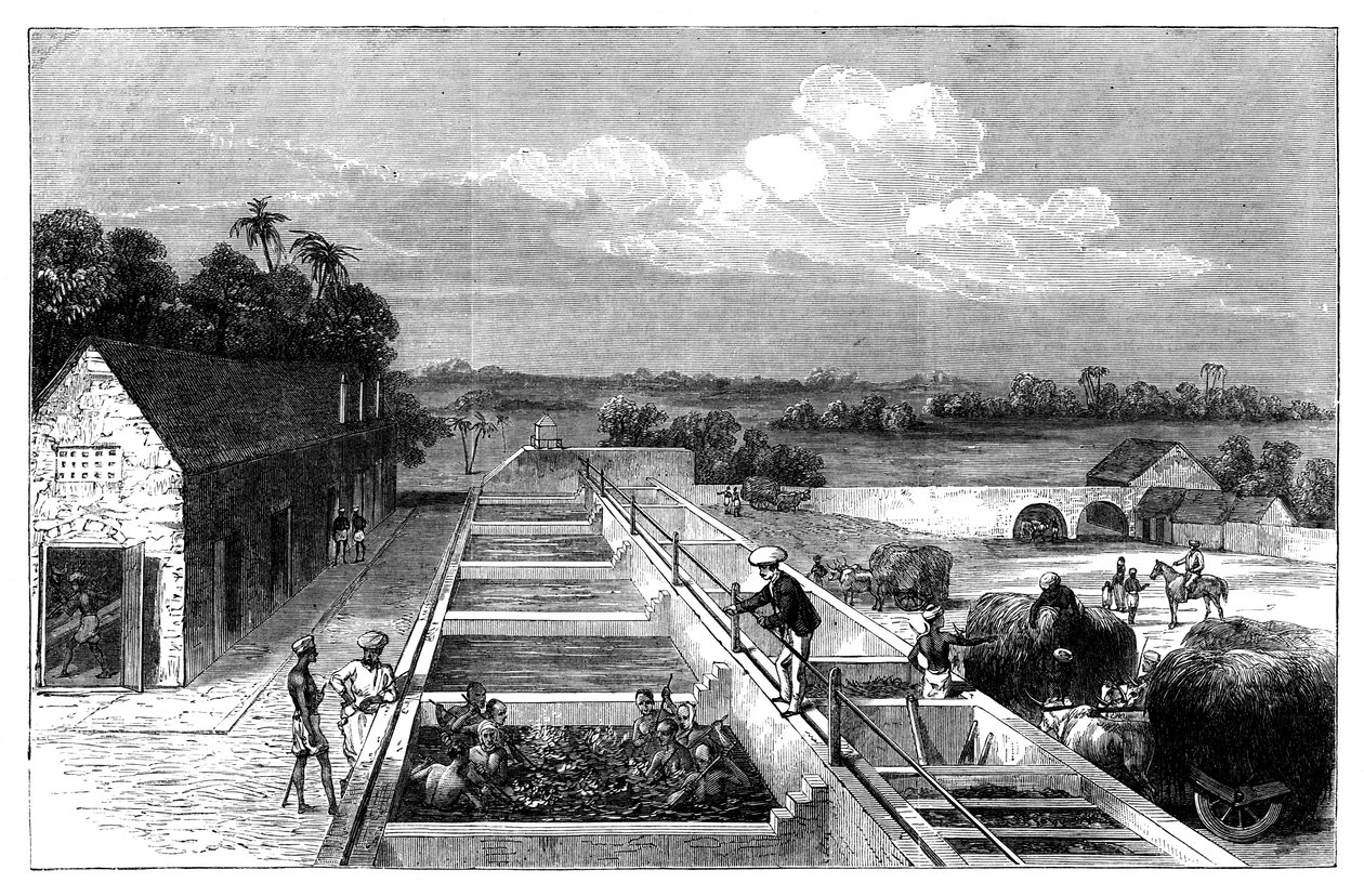 Tirhoot Muzaffarpur