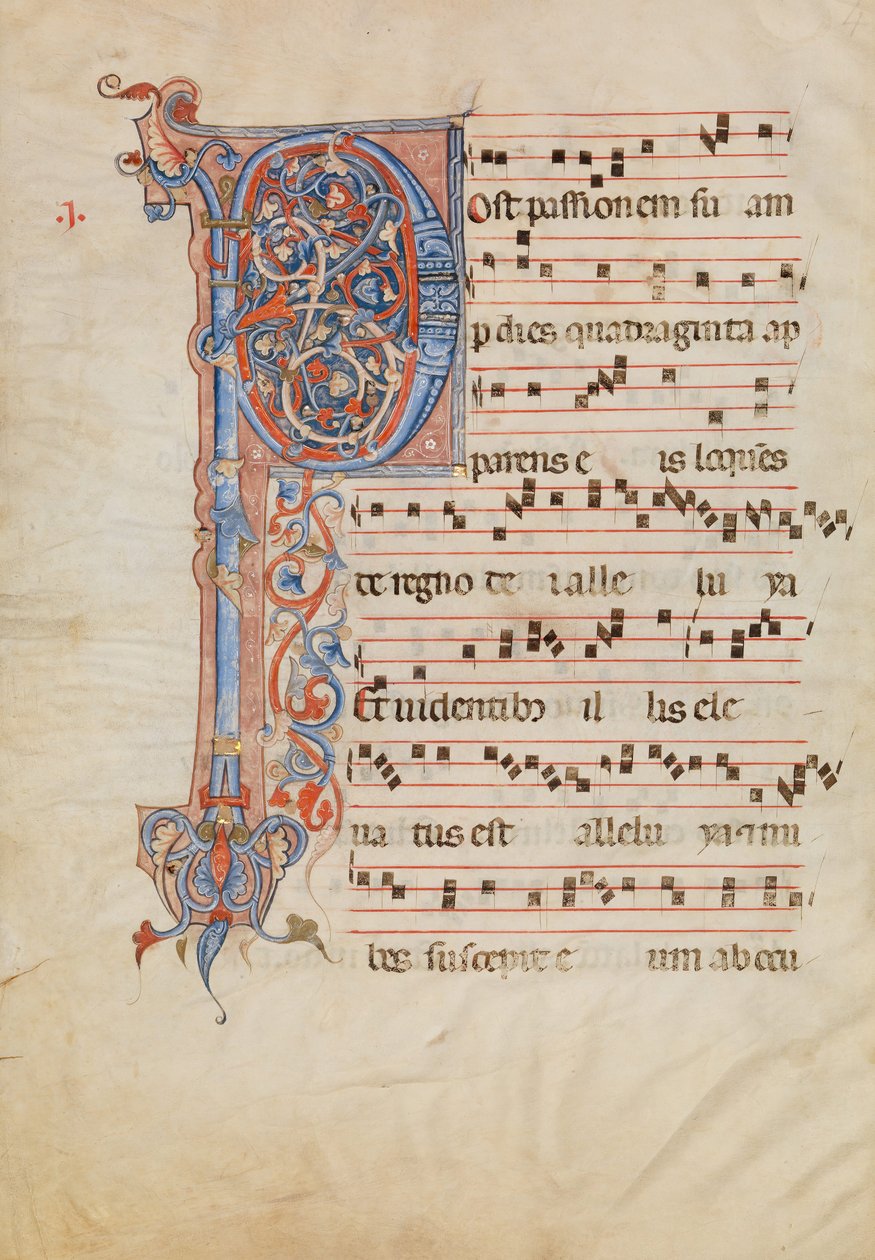 Yapraklı İlk P ile El Yazması Yaprağı, bir Antiphonary
