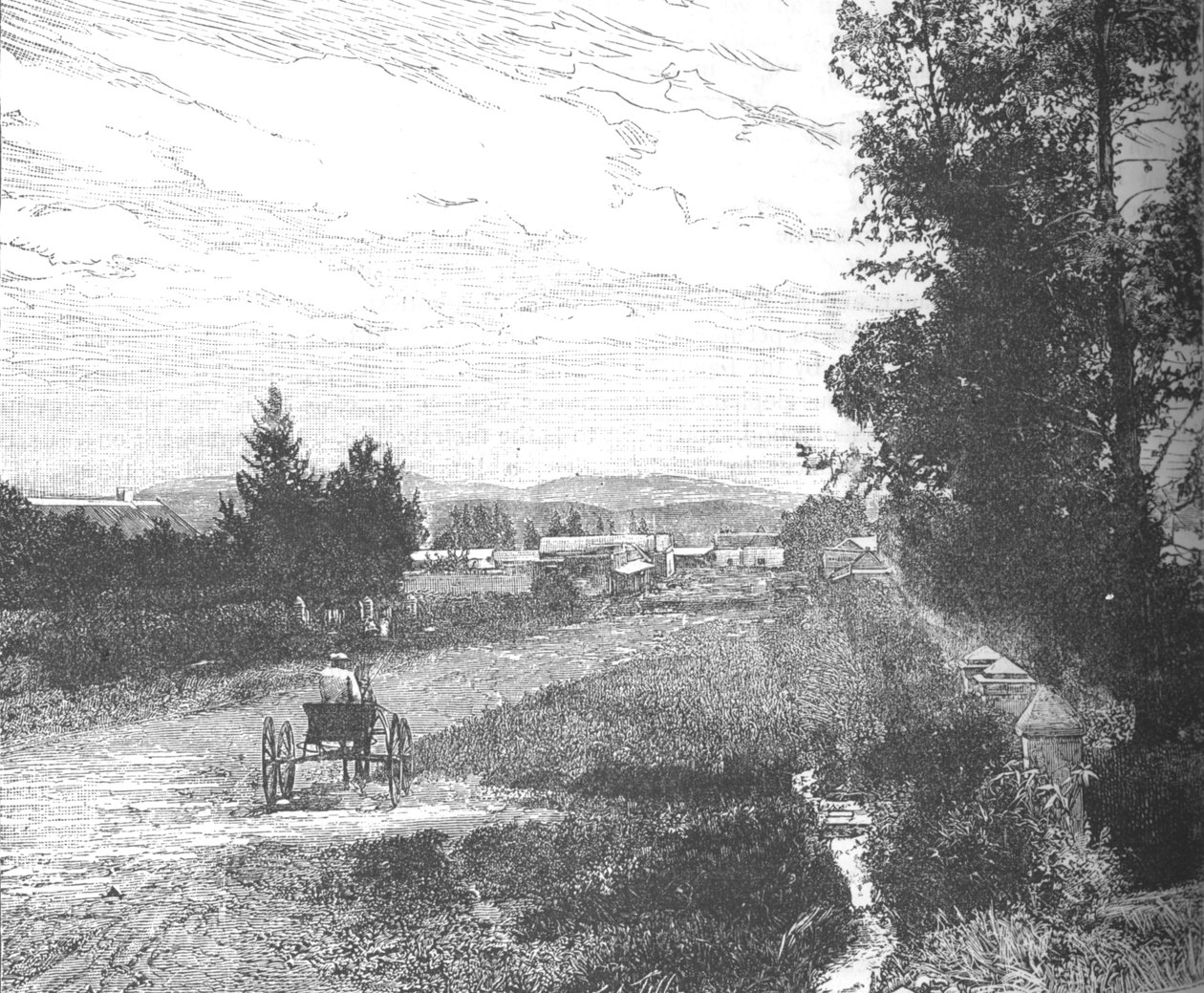 Pazar Sokağı, Pretoria, c1880