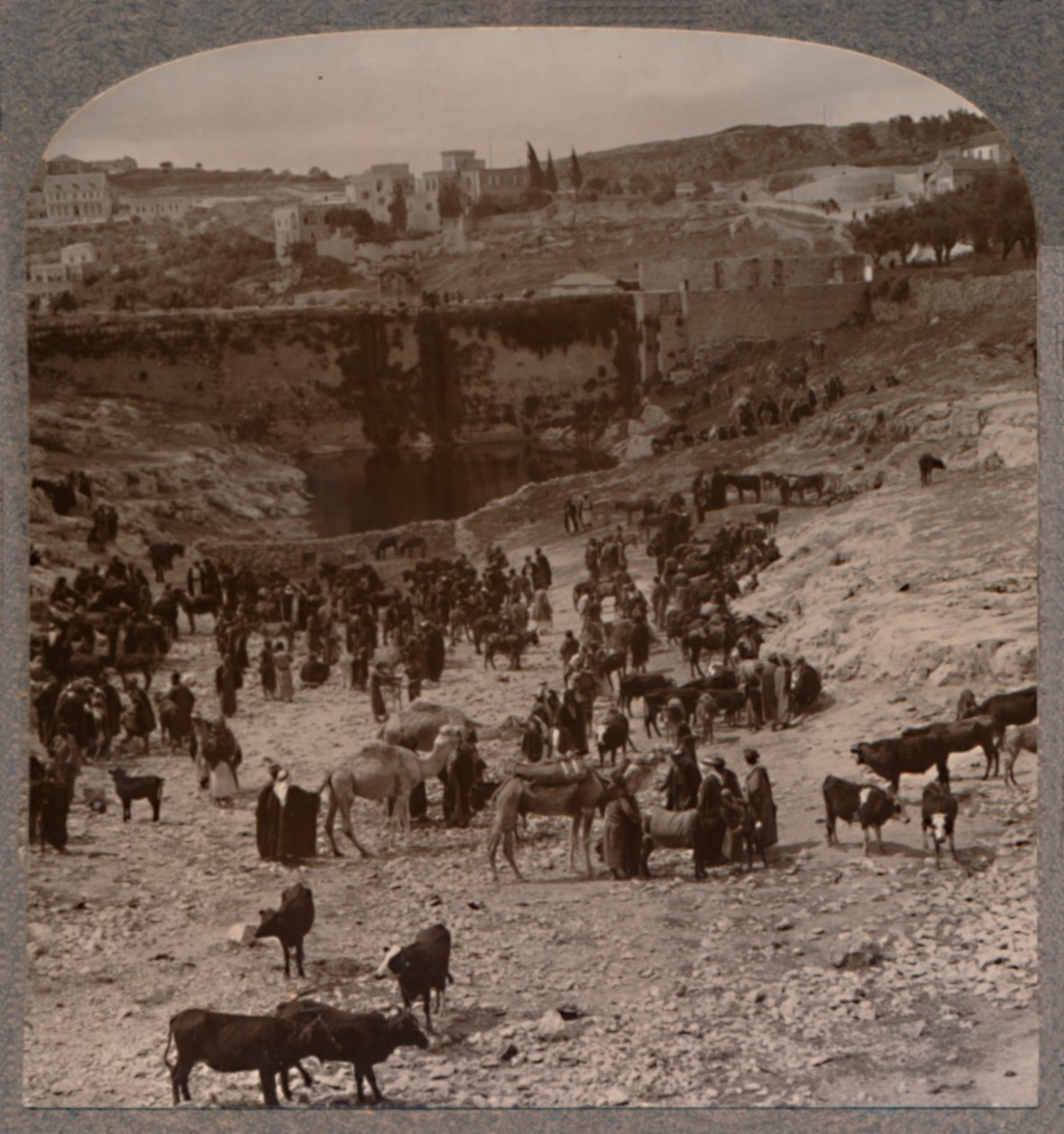 Gihon Havuzu