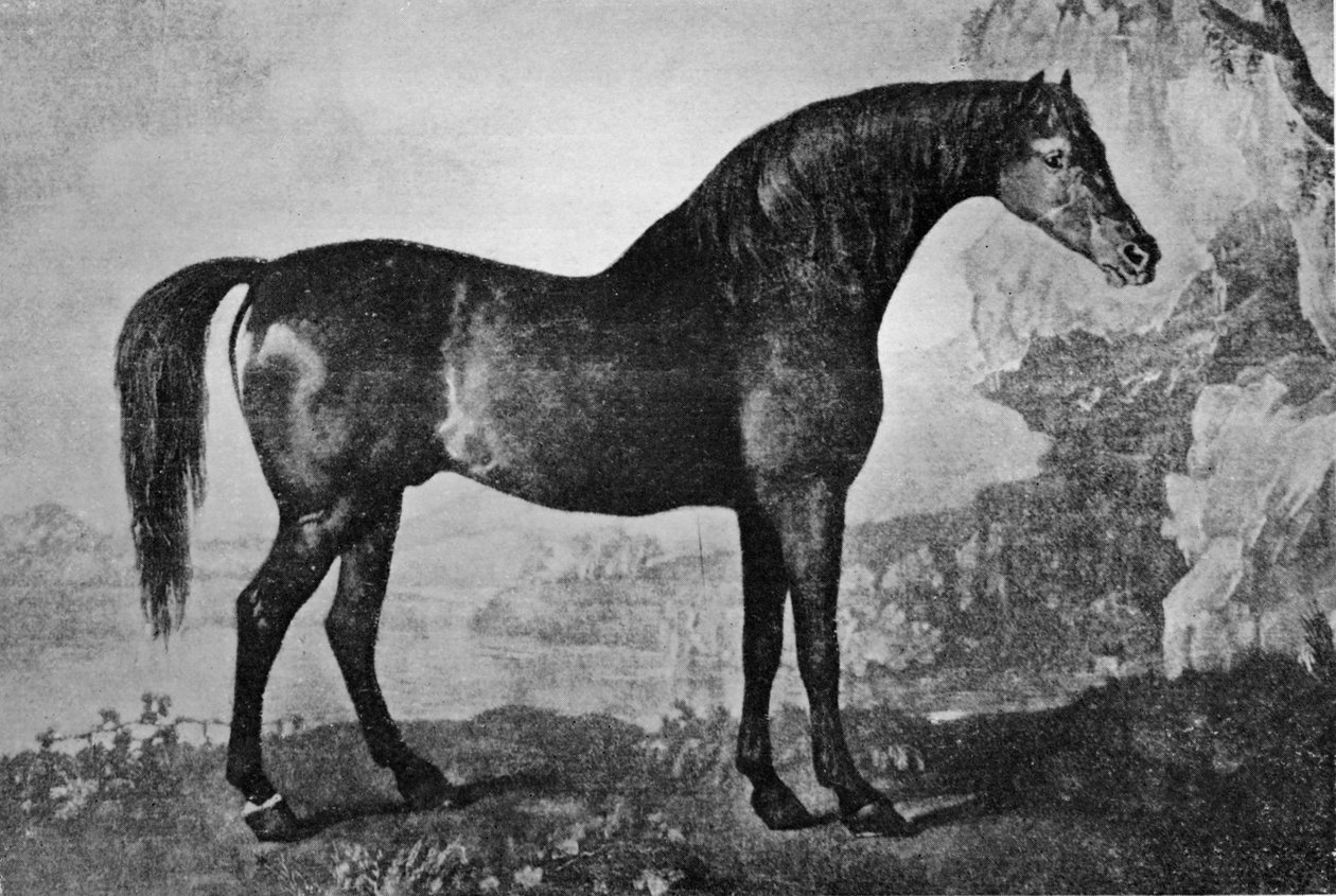 Marske, 1750-1779, 1911 by Unbekannt