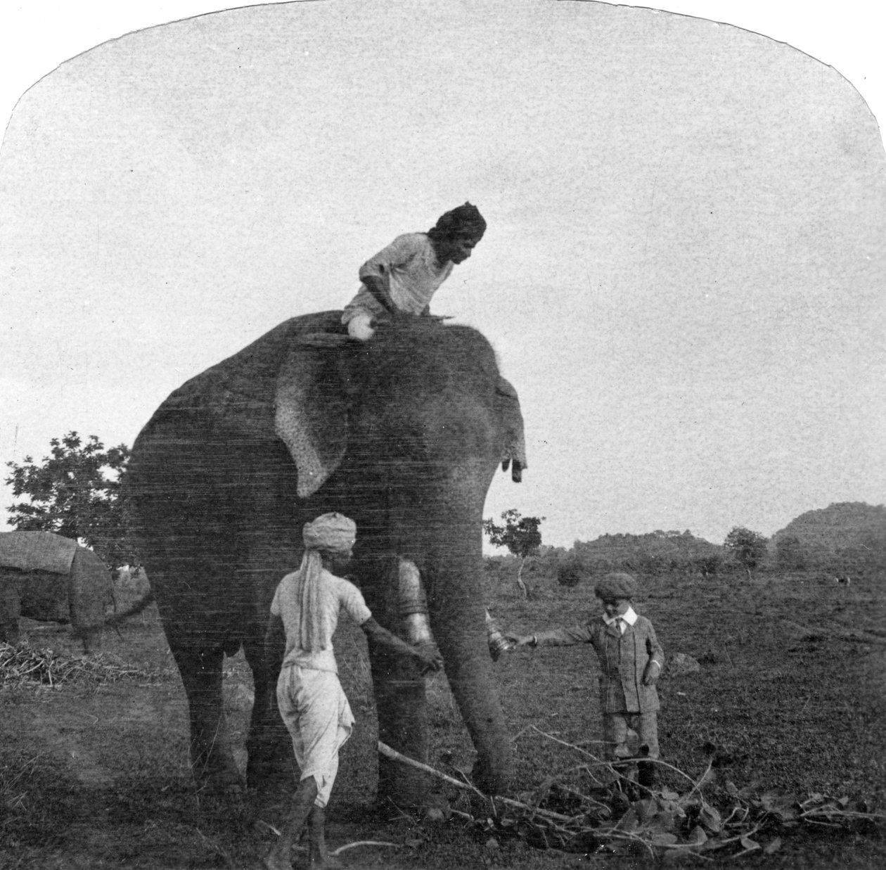 Ekbal Usta bir fil besliyor, Hindistan, 1900