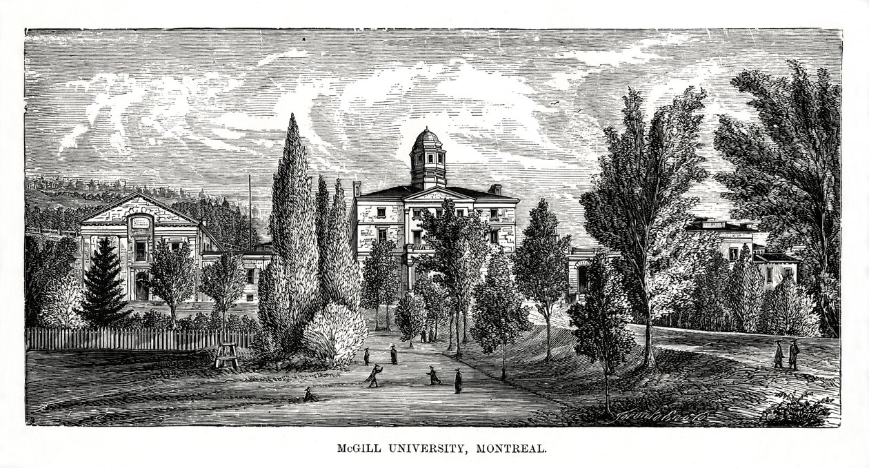 McGill Üniversitesi, Montreal, Kanada, 19. yüzyıl by Unbekannt
