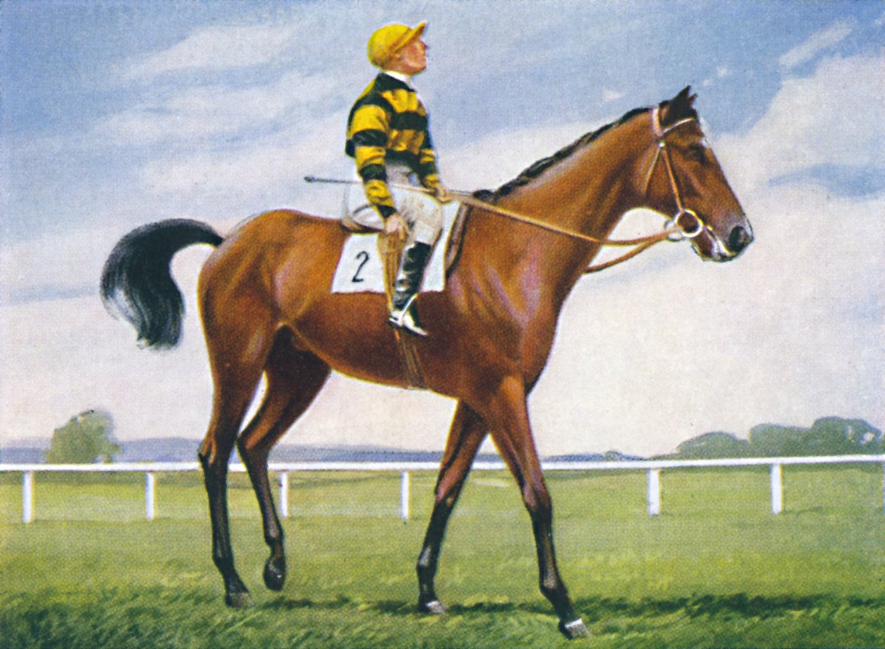 Çayır, Jokey: T. Weston, 1939 by Unbekannt