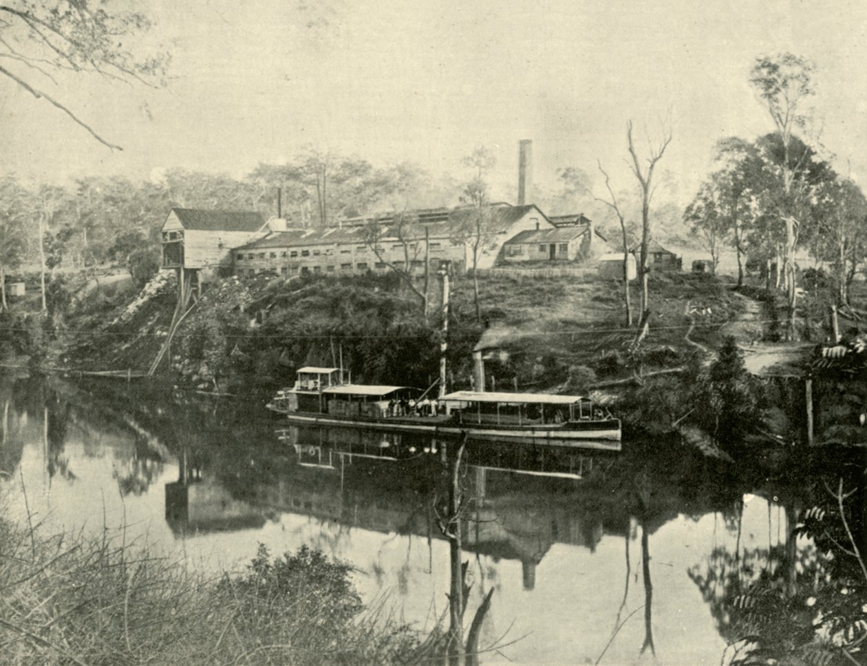 Grafton yakınlarındaki Et İşleri, Yeni Güney Galler, 1901. by Unbekannt