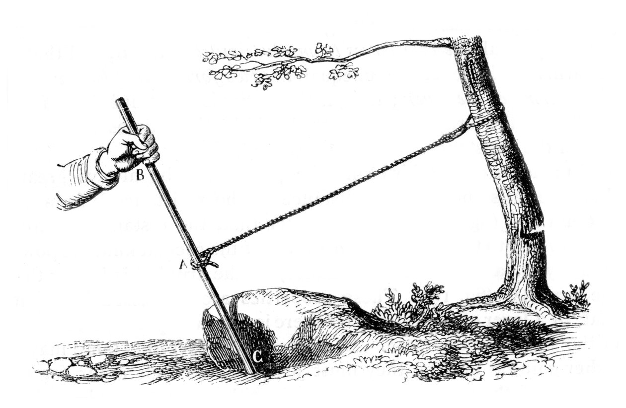 Mekanik avantaj: Kolun gücü, 1877 by Unbekannt