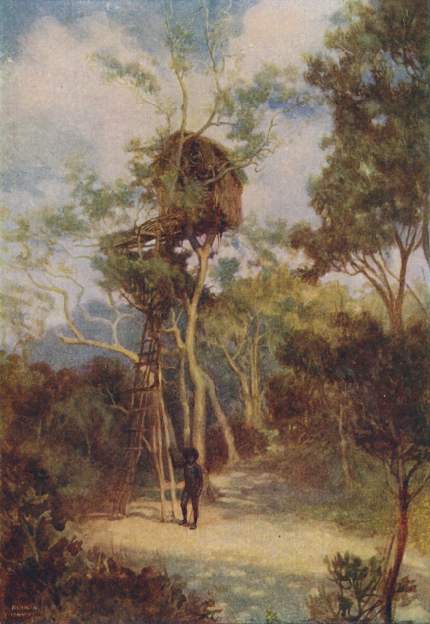 Melanezya Ağaç Evi, 1924 by Unbekannt