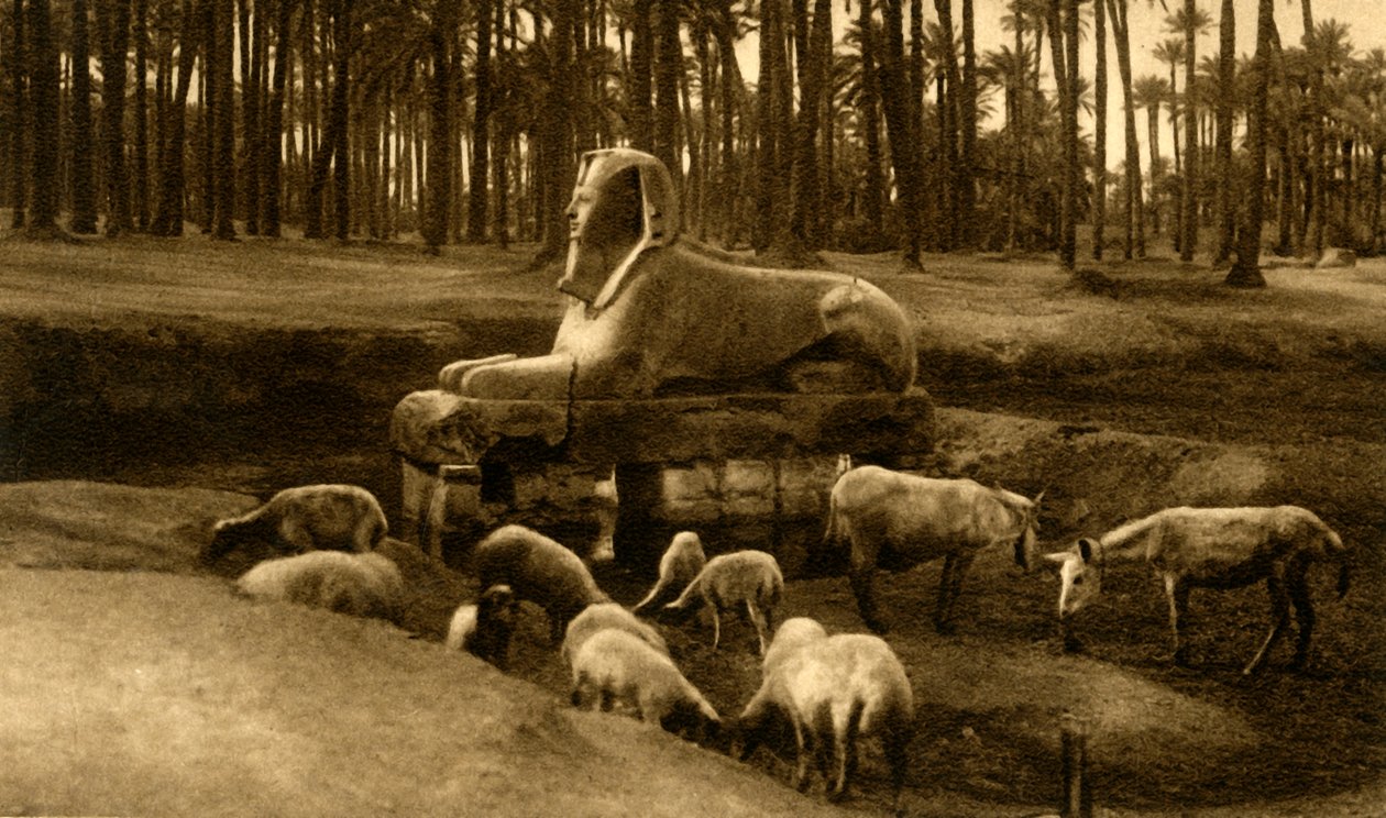 Memphis - Kaymaktaşı Sfenks, c1918-c1939. by Unbekannt